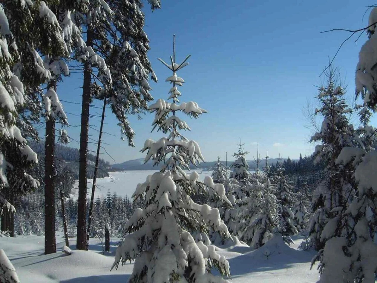 Karlovka Josef v D l