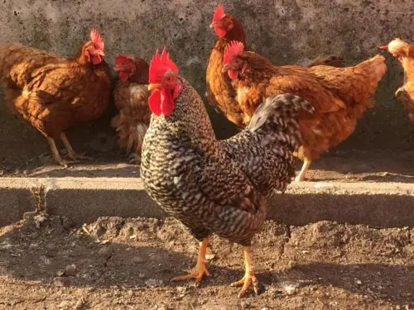 Liencres Apartamentos