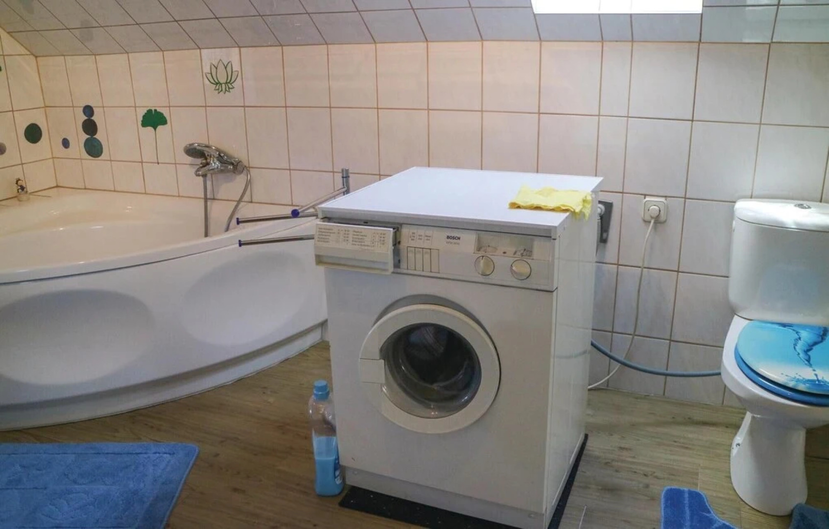 Stunning Apartment in Rankwitz With 1 Bedrooms and Wifi