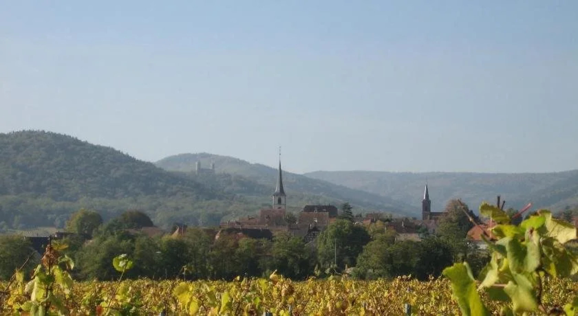 Chambre dhtes La Forestire