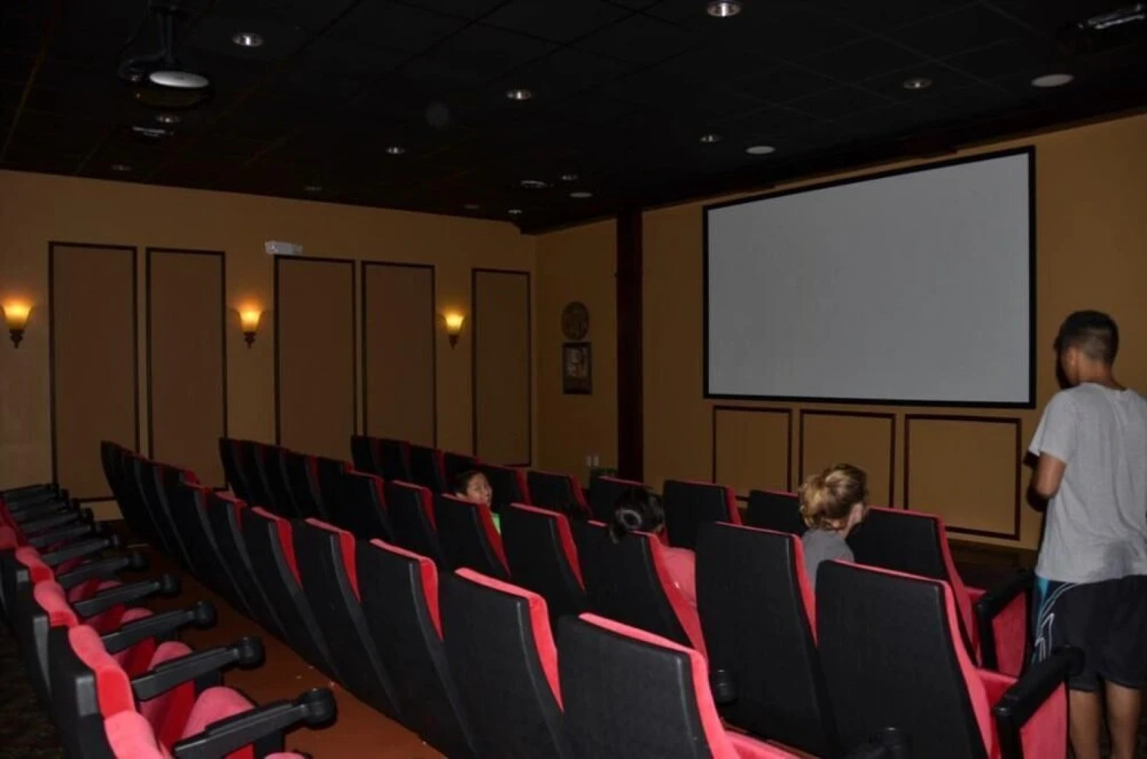 Paradise Palms by Fidelity VH ID:64795