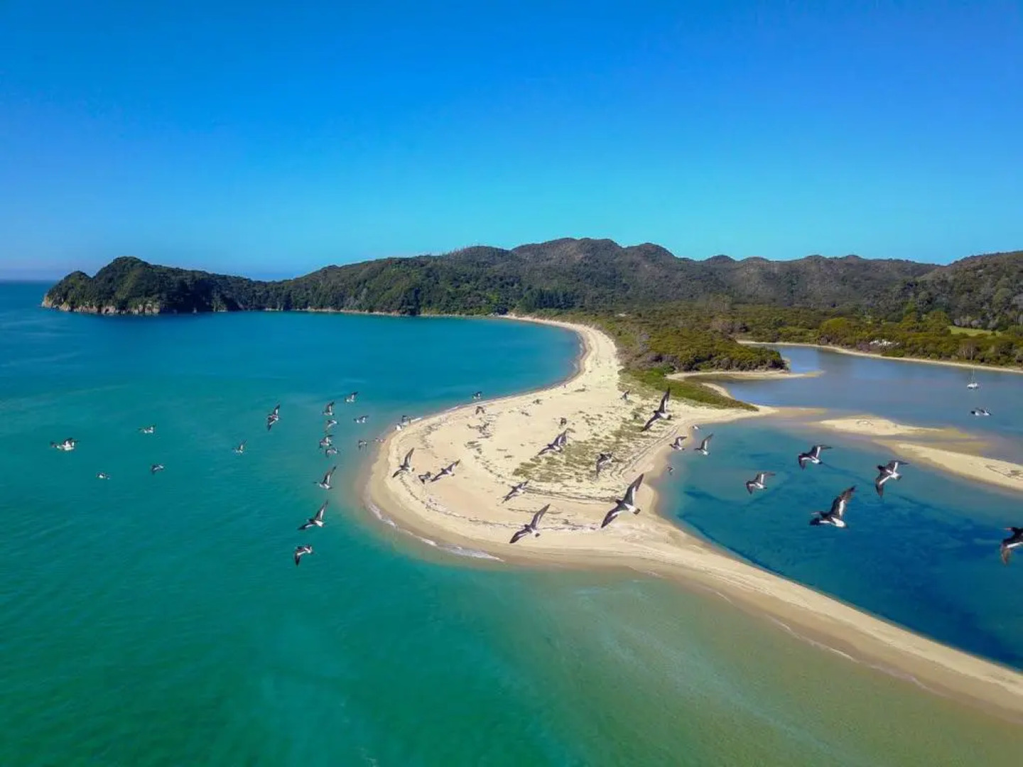 Century Park Motor Lodge