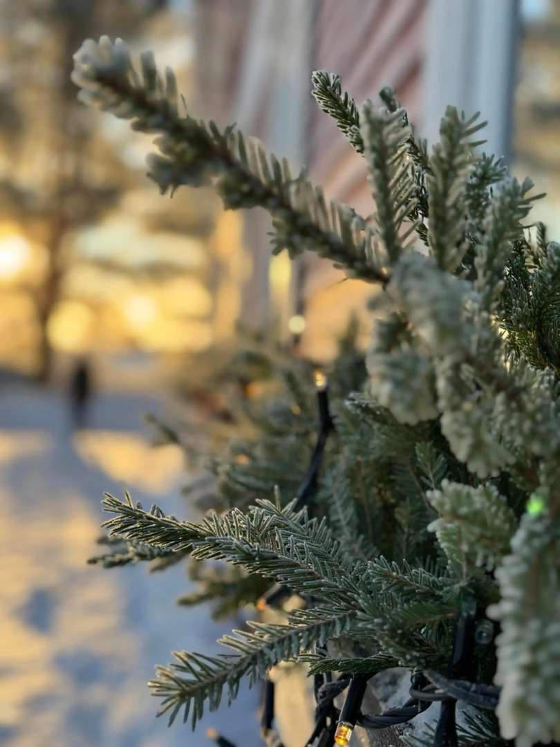 STF Sälen Torgåsgården