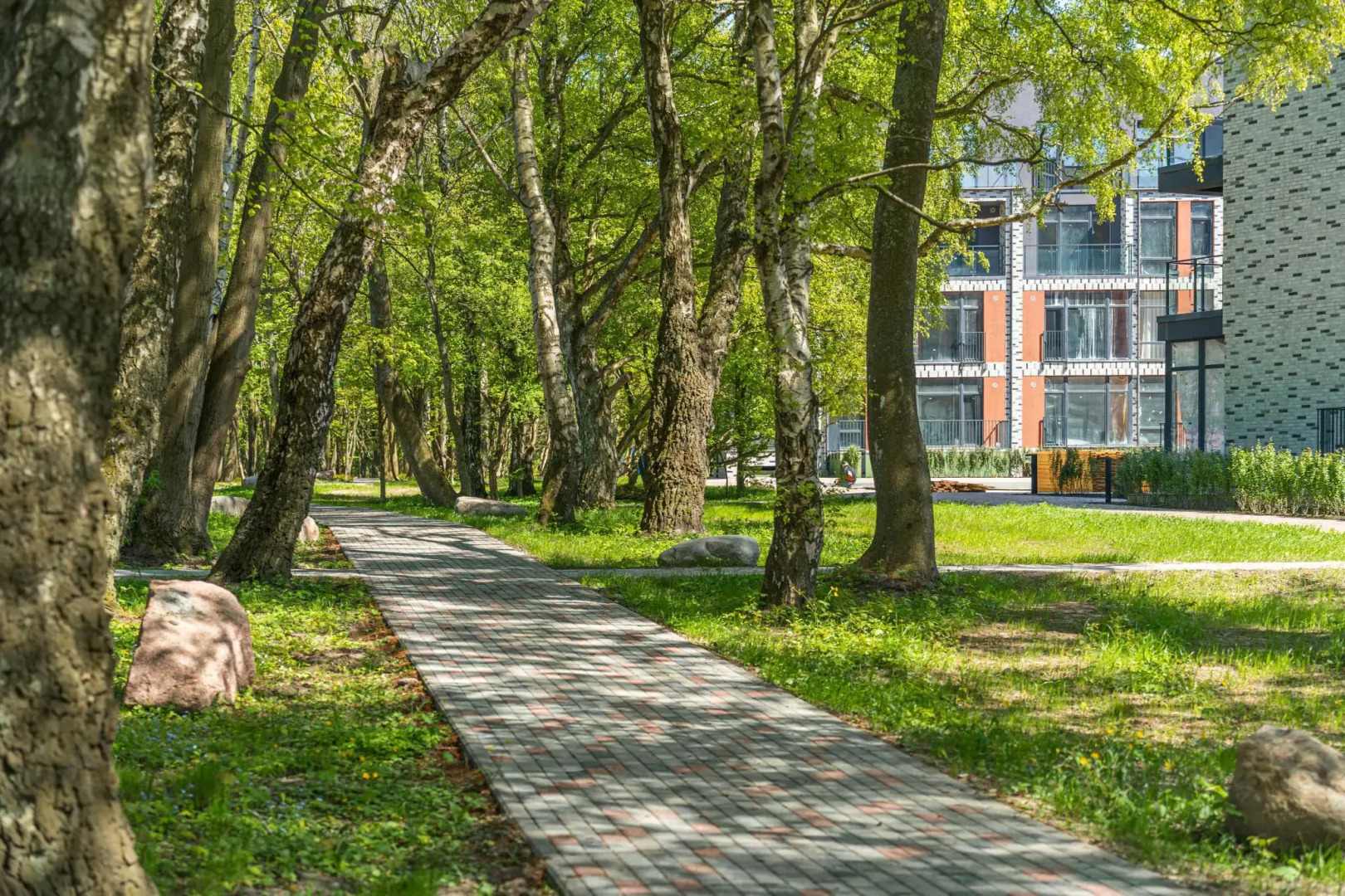 Elybay (Элибэй)