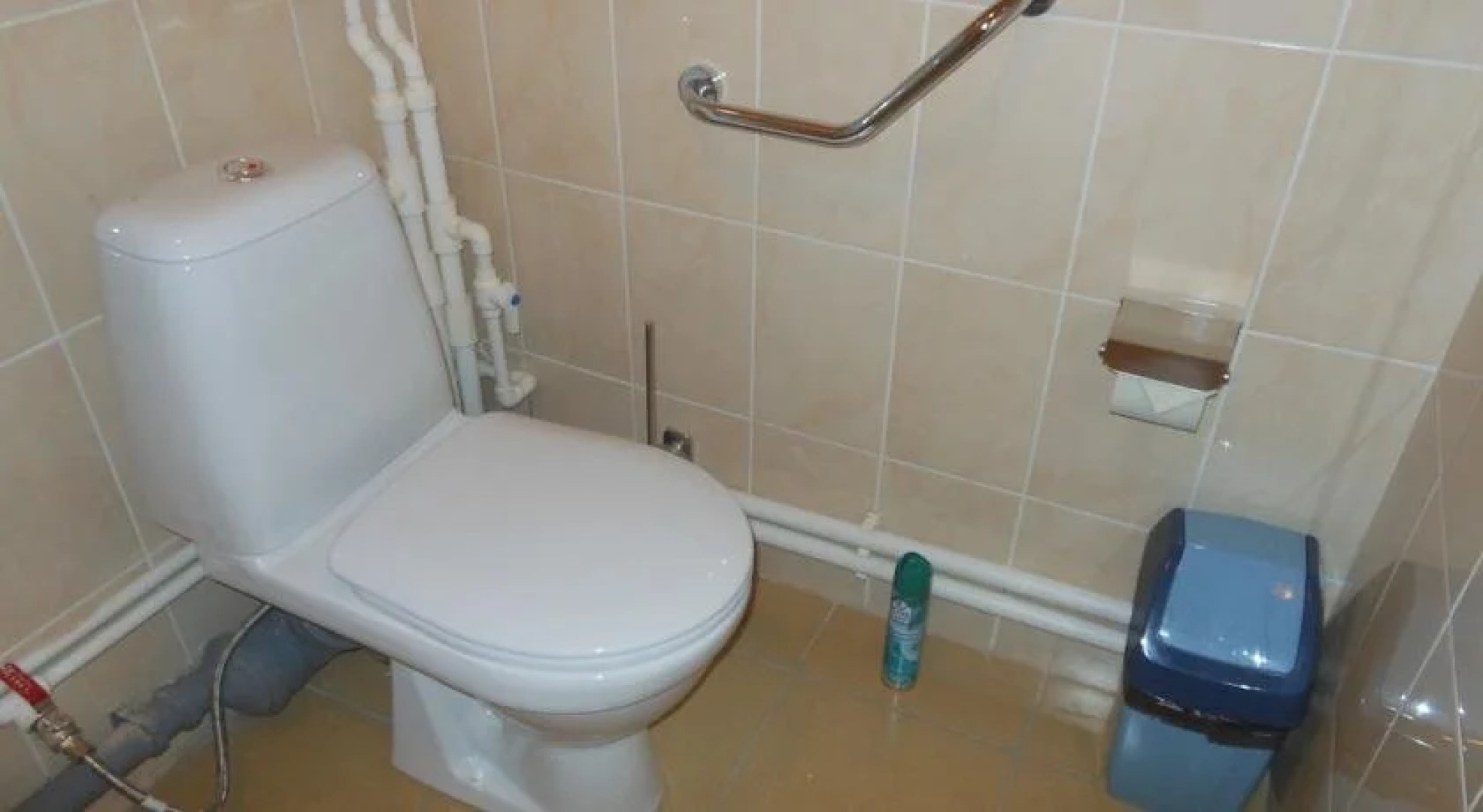 Иван-царевич