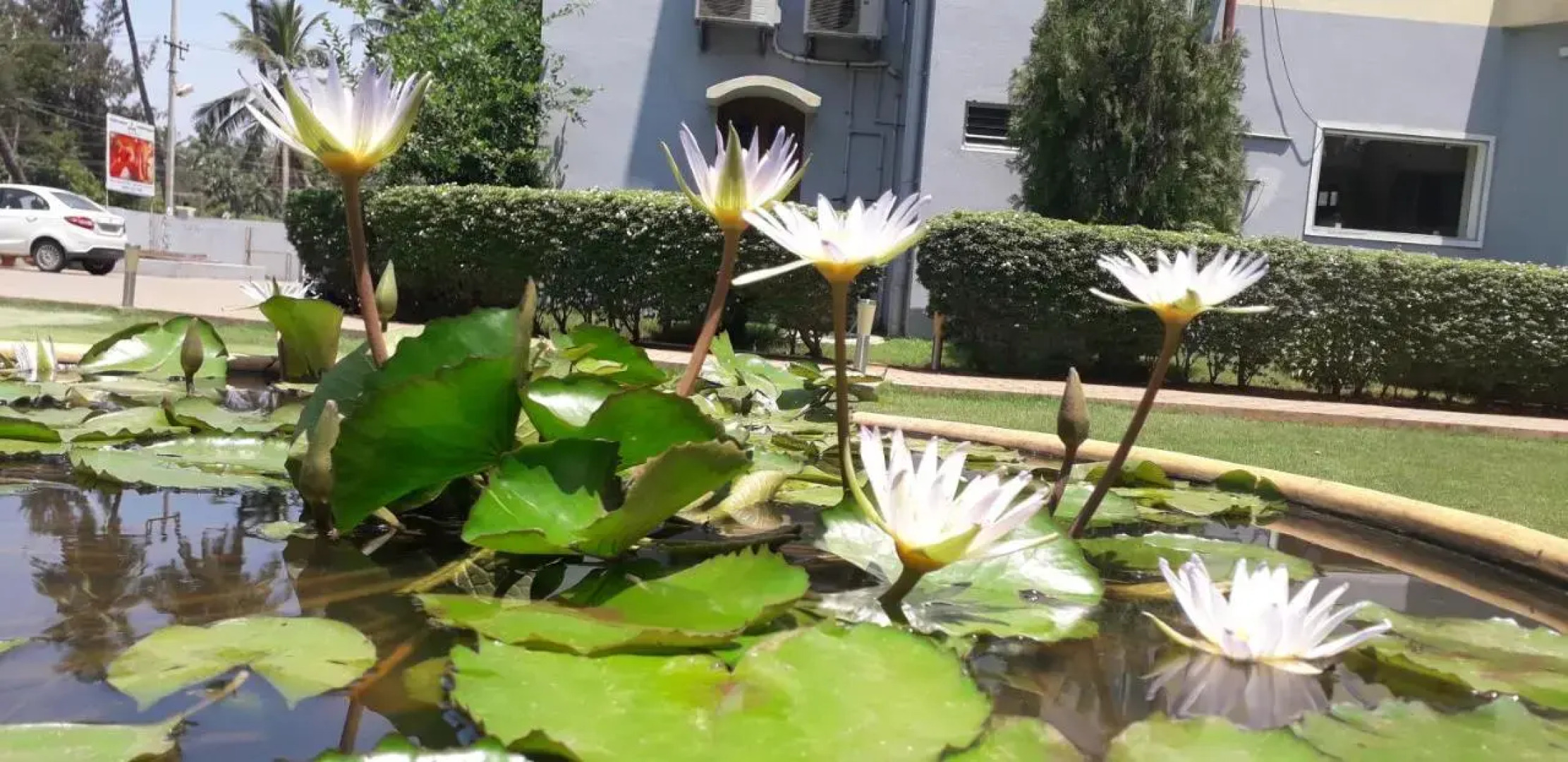 OYO 3471 Hotel Priso