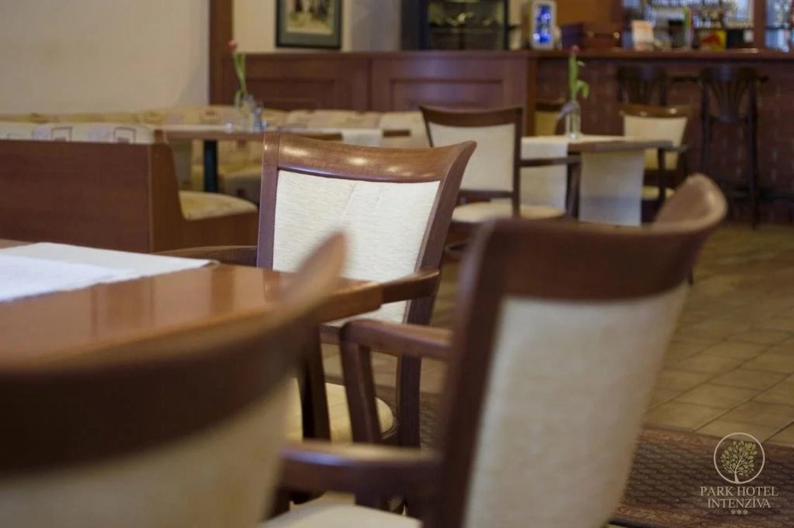 Park Hotel Intenzíva