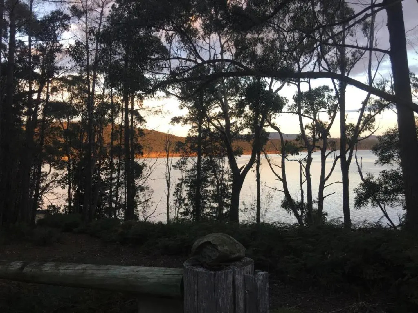 Saintys Creek Cottage