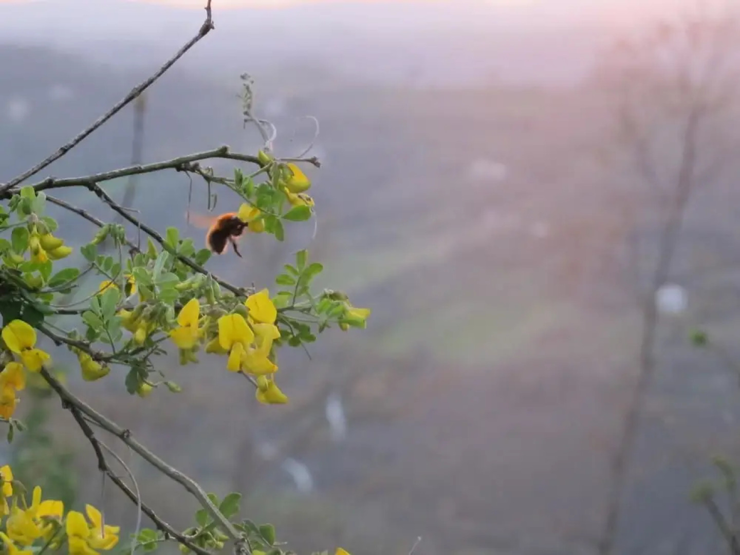 RSH Luxury Casale Sabina Valley