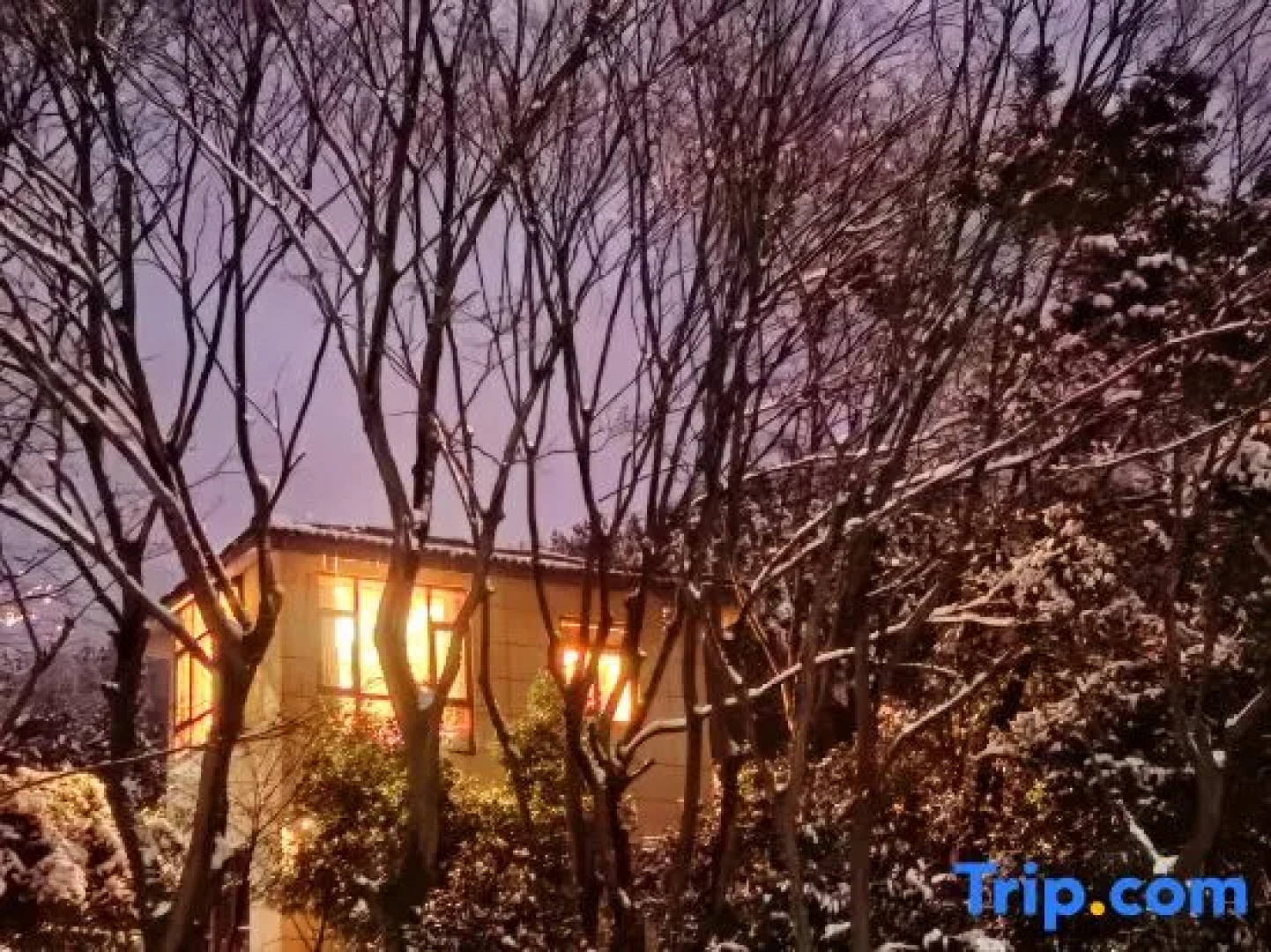 Wentangzhen Jundi Life Boutique Inn