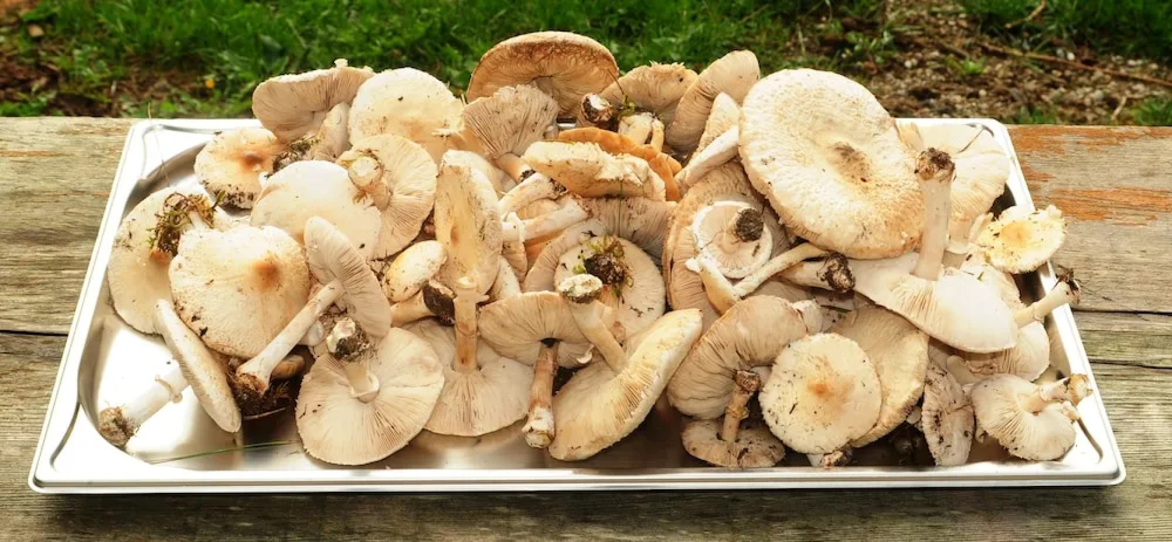 Réserve Naturelle de Boussière