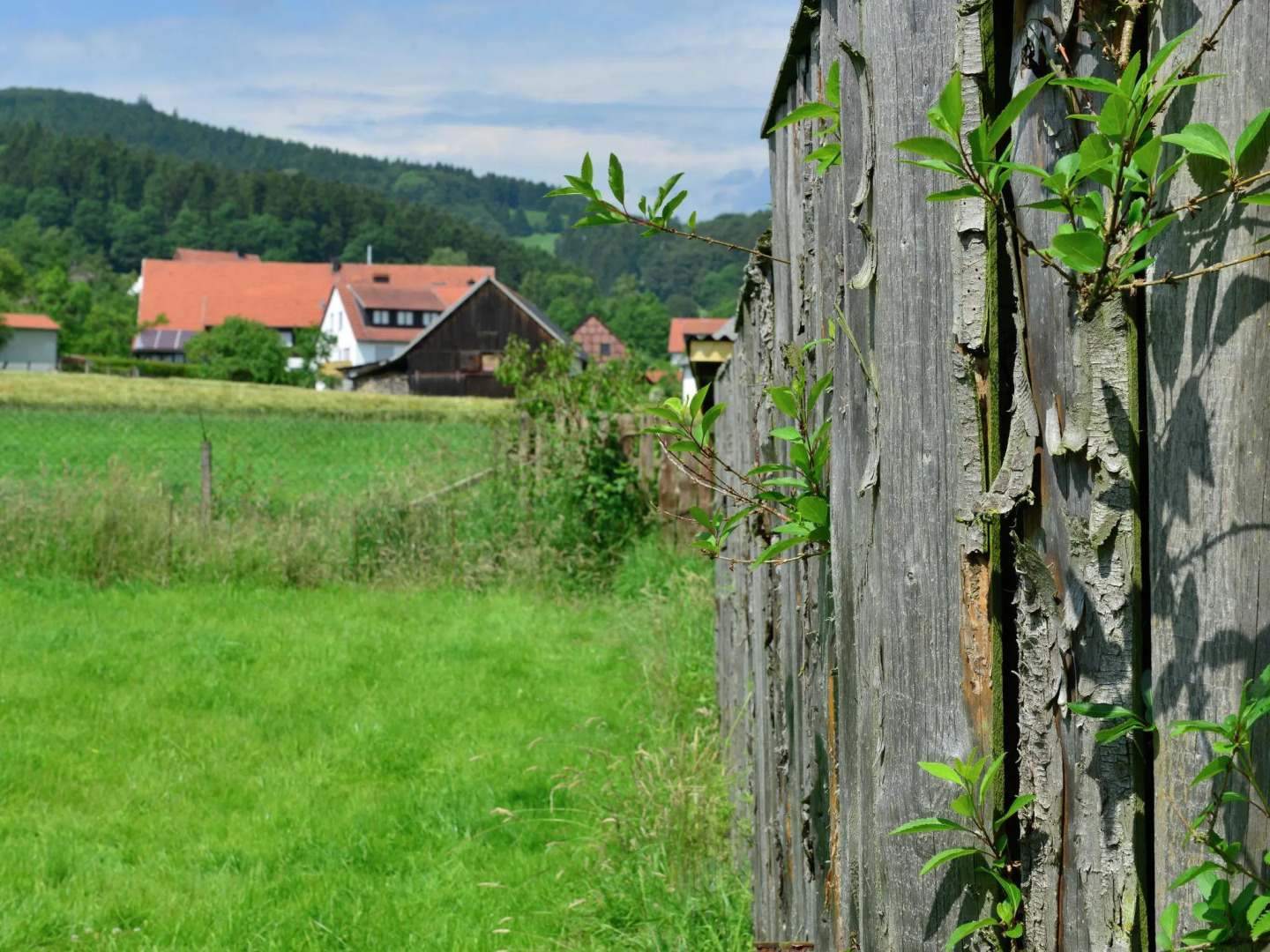 Spacious Home, Sauerland