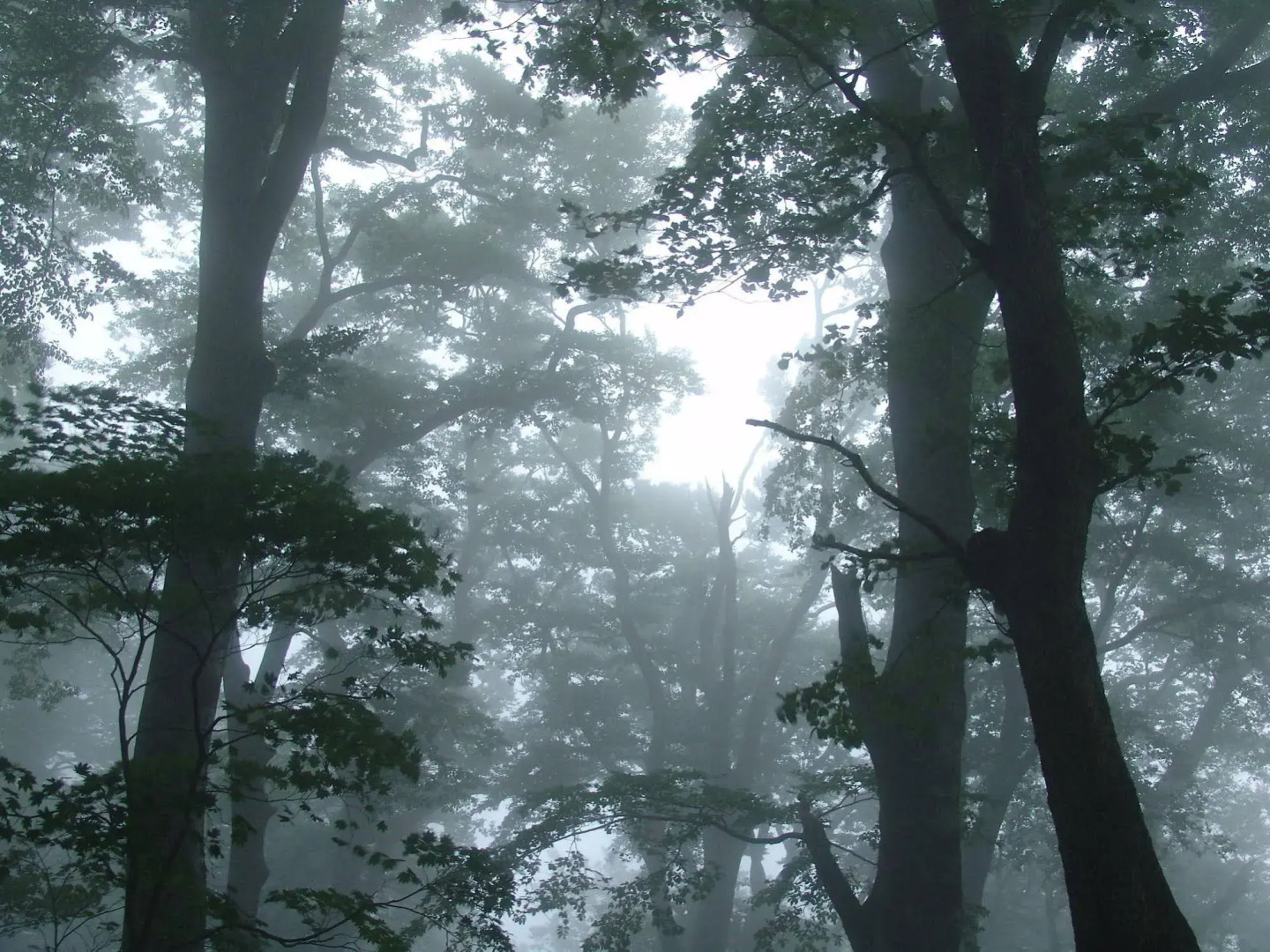 Hotel Daisen Shirogane