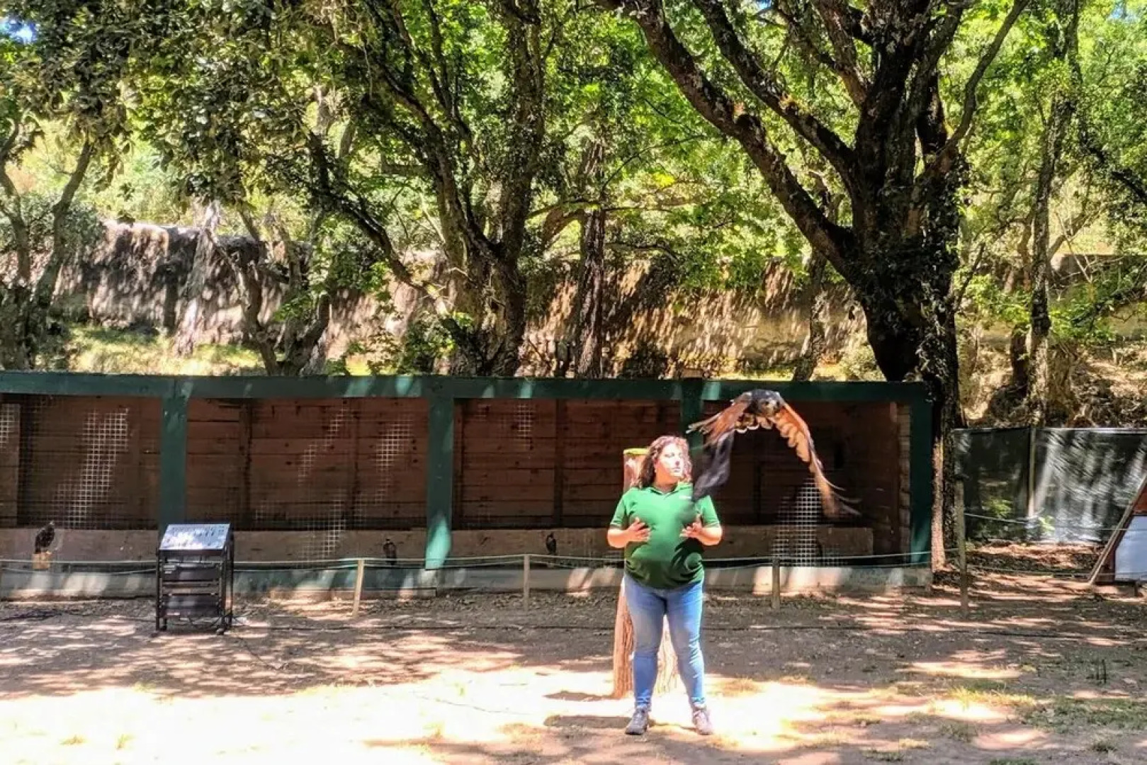 Vila Mafra - Grill Terrace