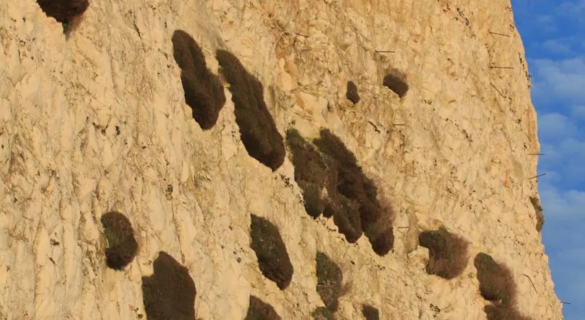 The Cliff Inn (formerly The White Schooner)