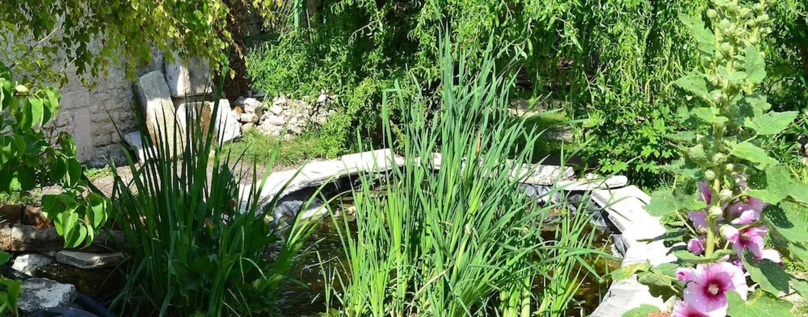 Gite Le Fief des Chevaliers
