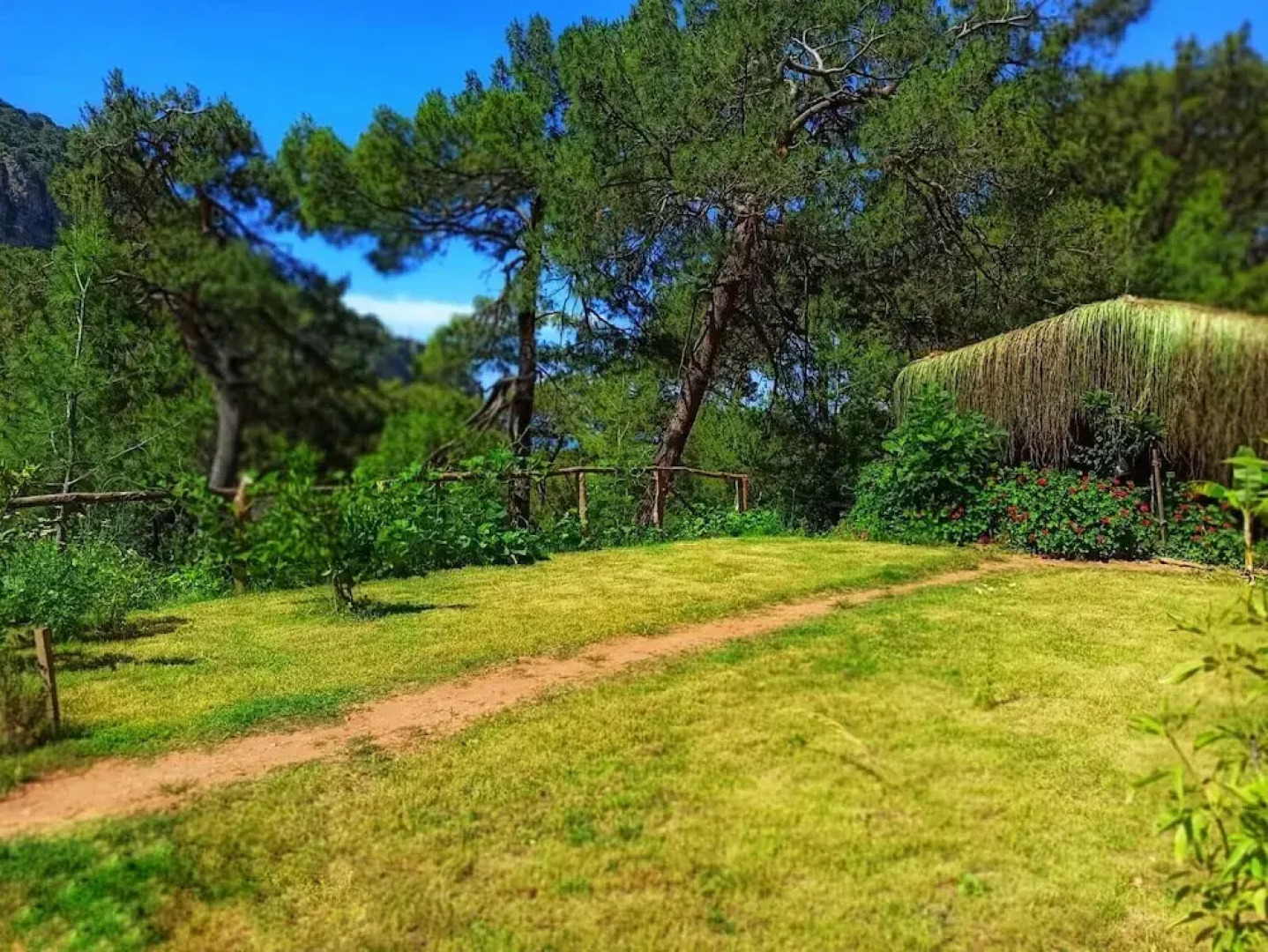 Kidrak Camping Namaste