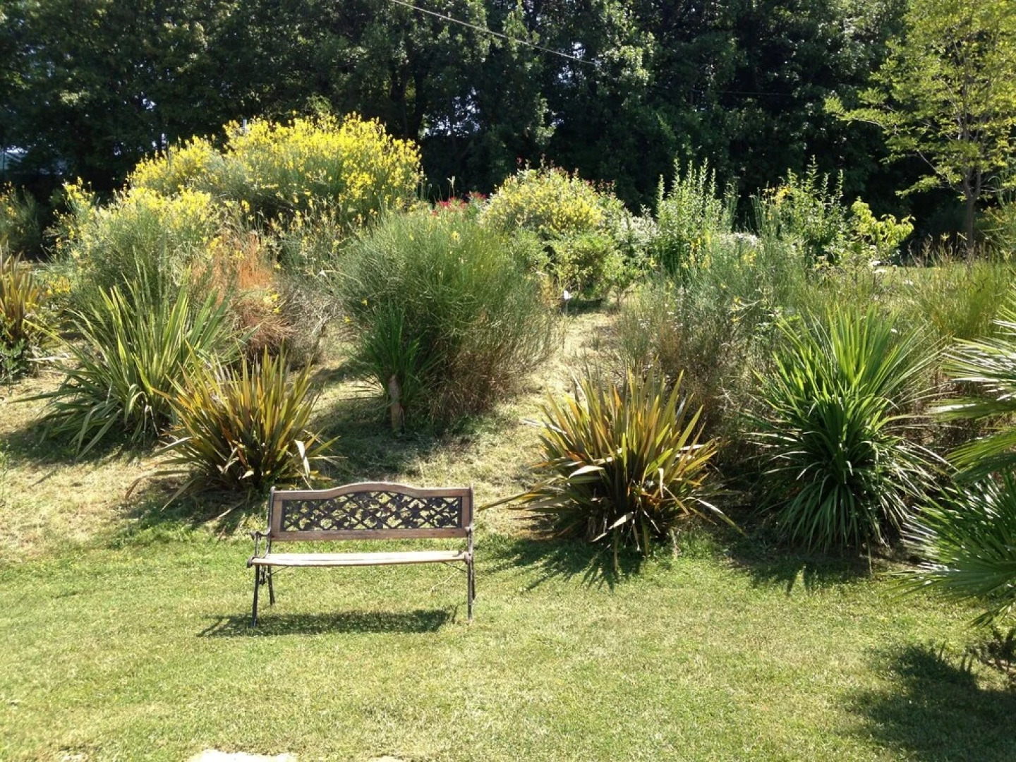 Precious Villa Italy just few minutes drive from Pesaro beach