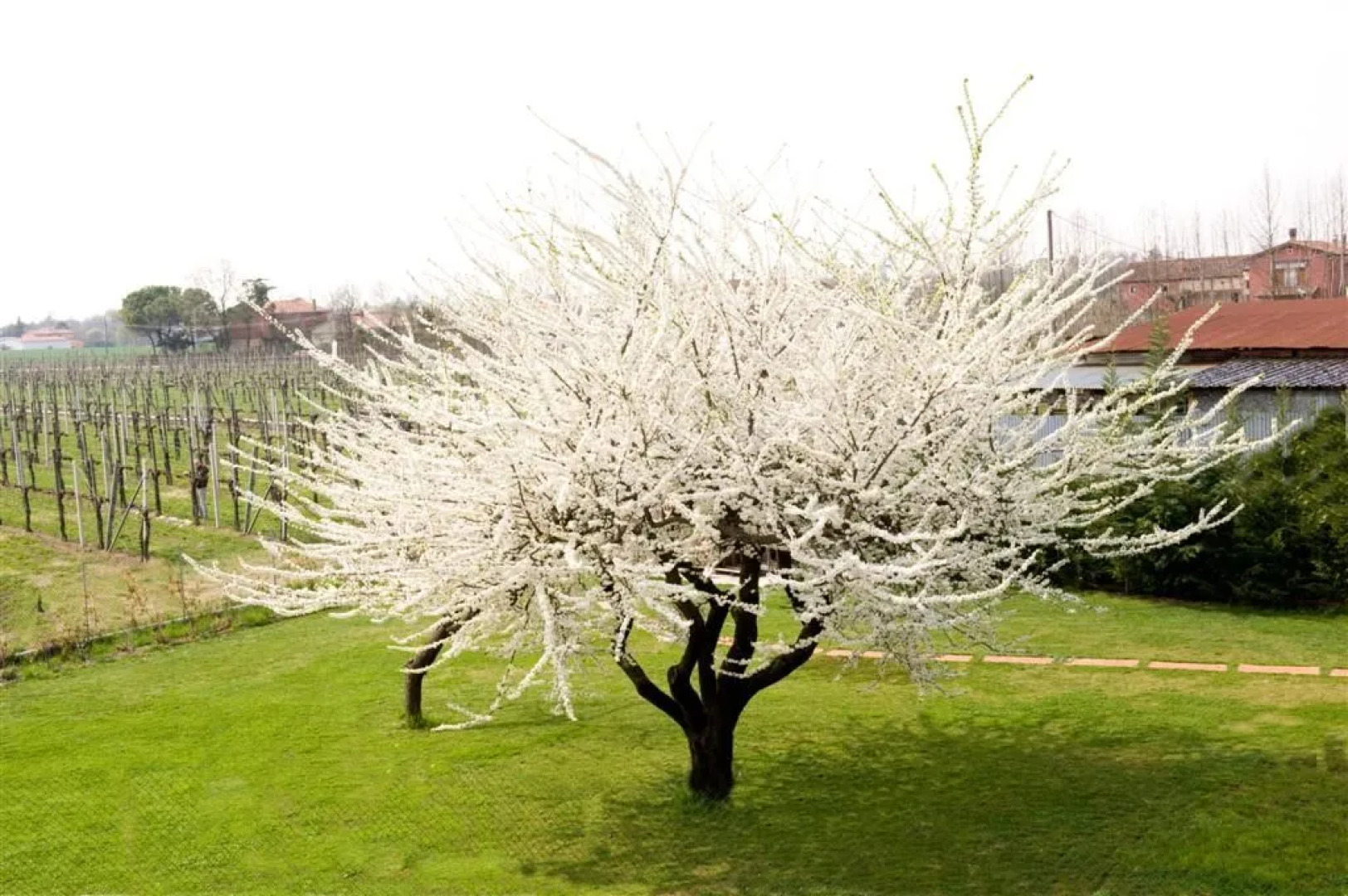 Alloggi Turistici Daniel