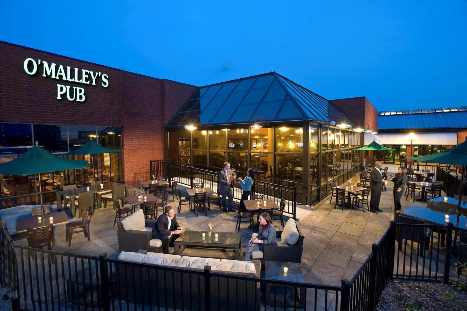 Holiday Inn Washington-Dulles International Airport by IHG