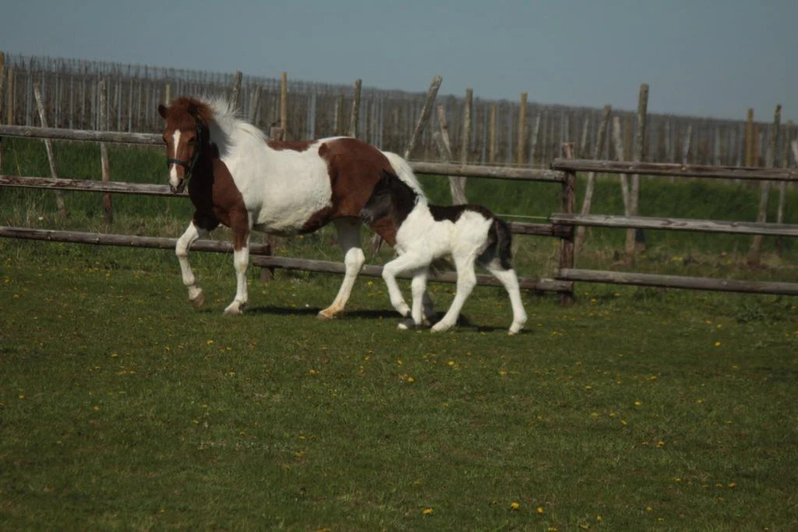 Gästehaus Osterhöll