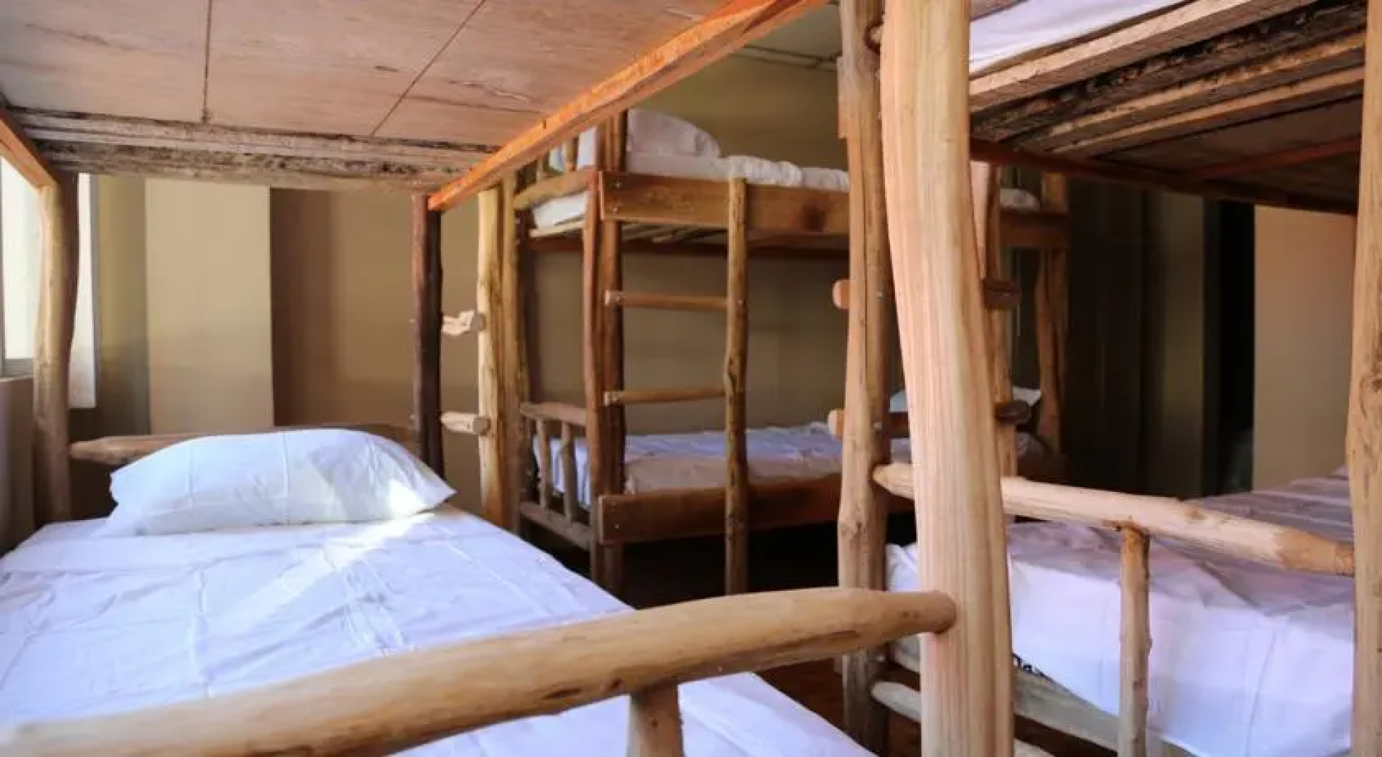 Golden Frog Hostel