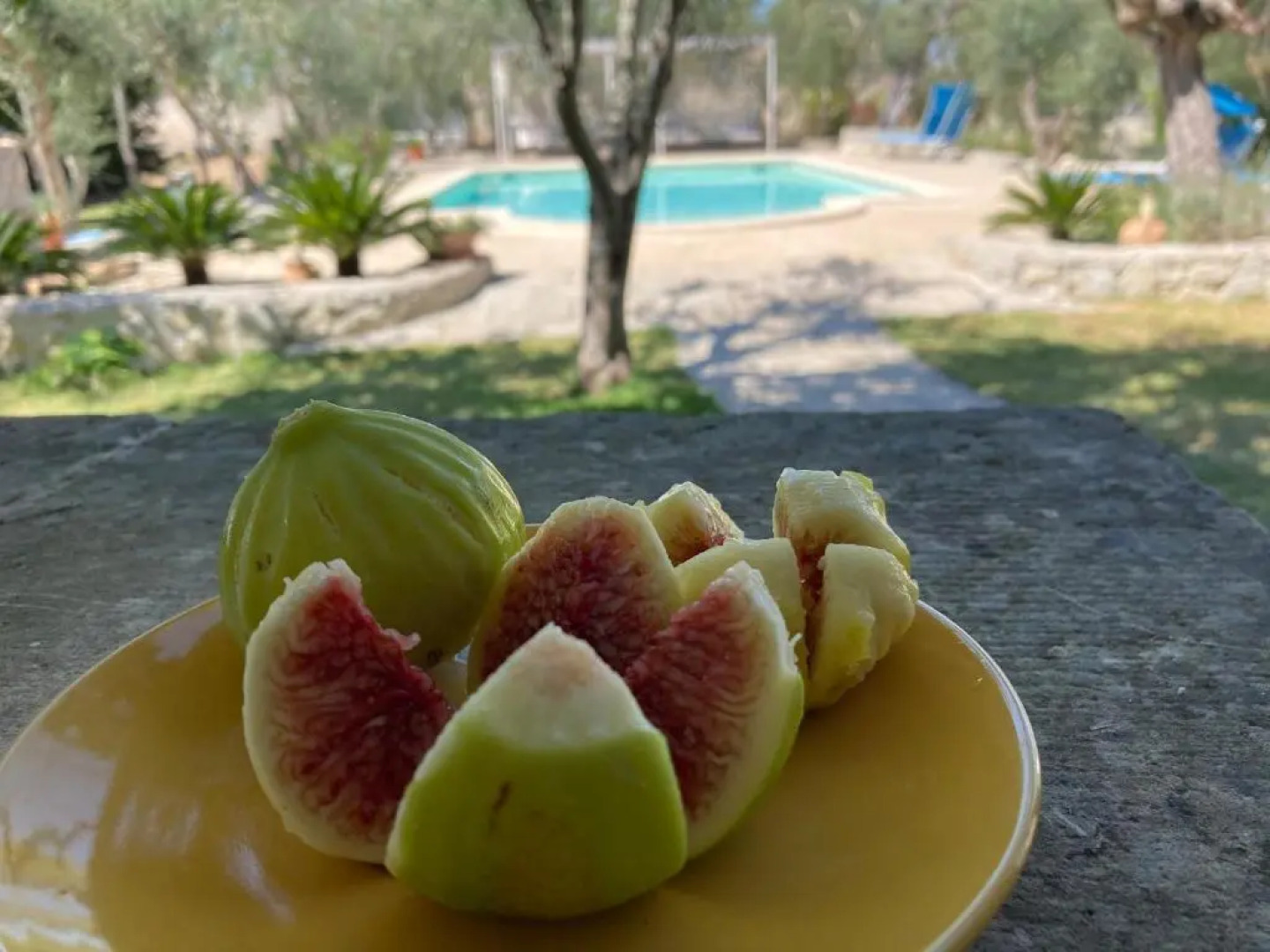 B&B Tenuta la Cornula