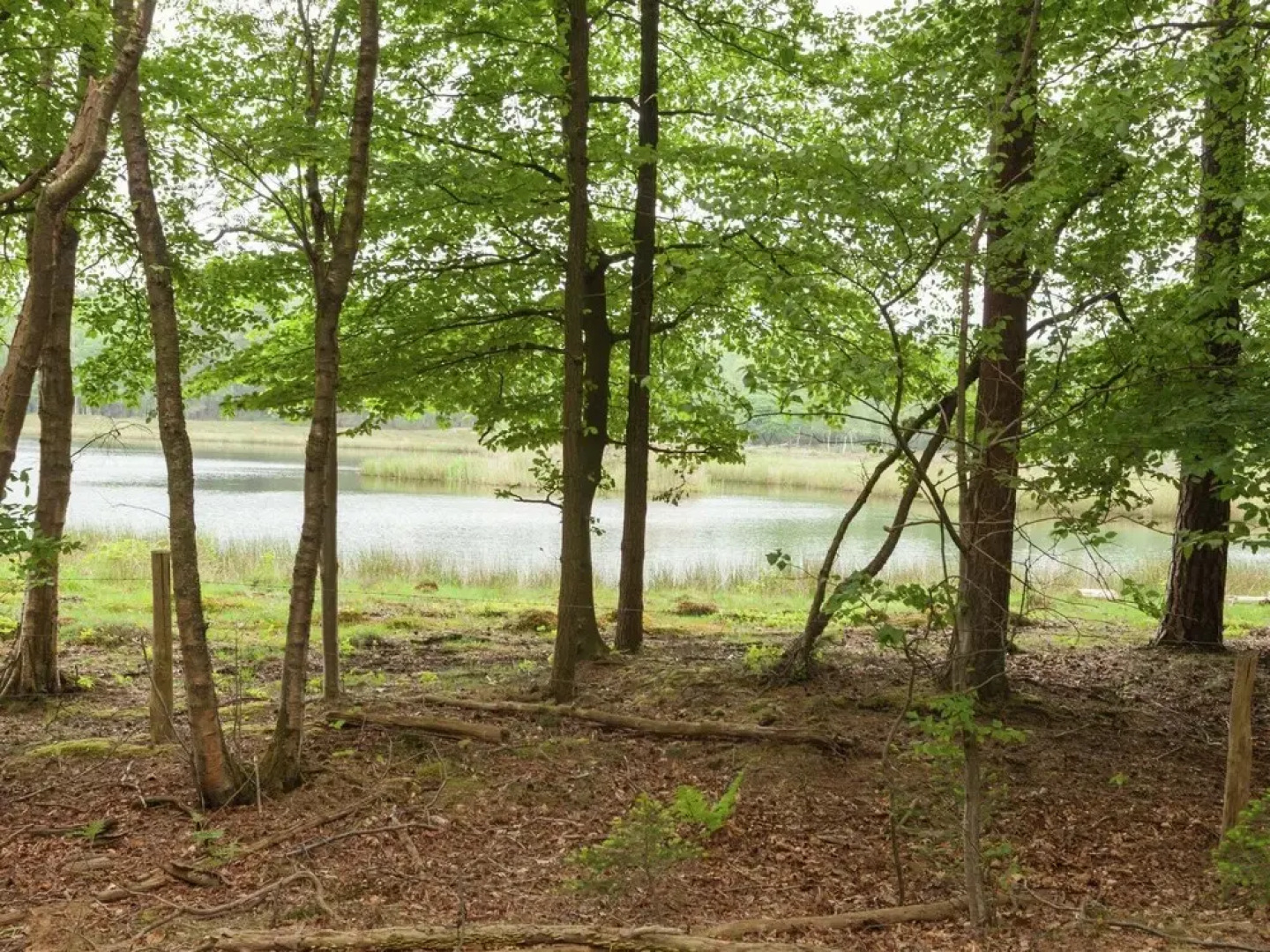 Serene Holiday Home in Baarn with Private Garden