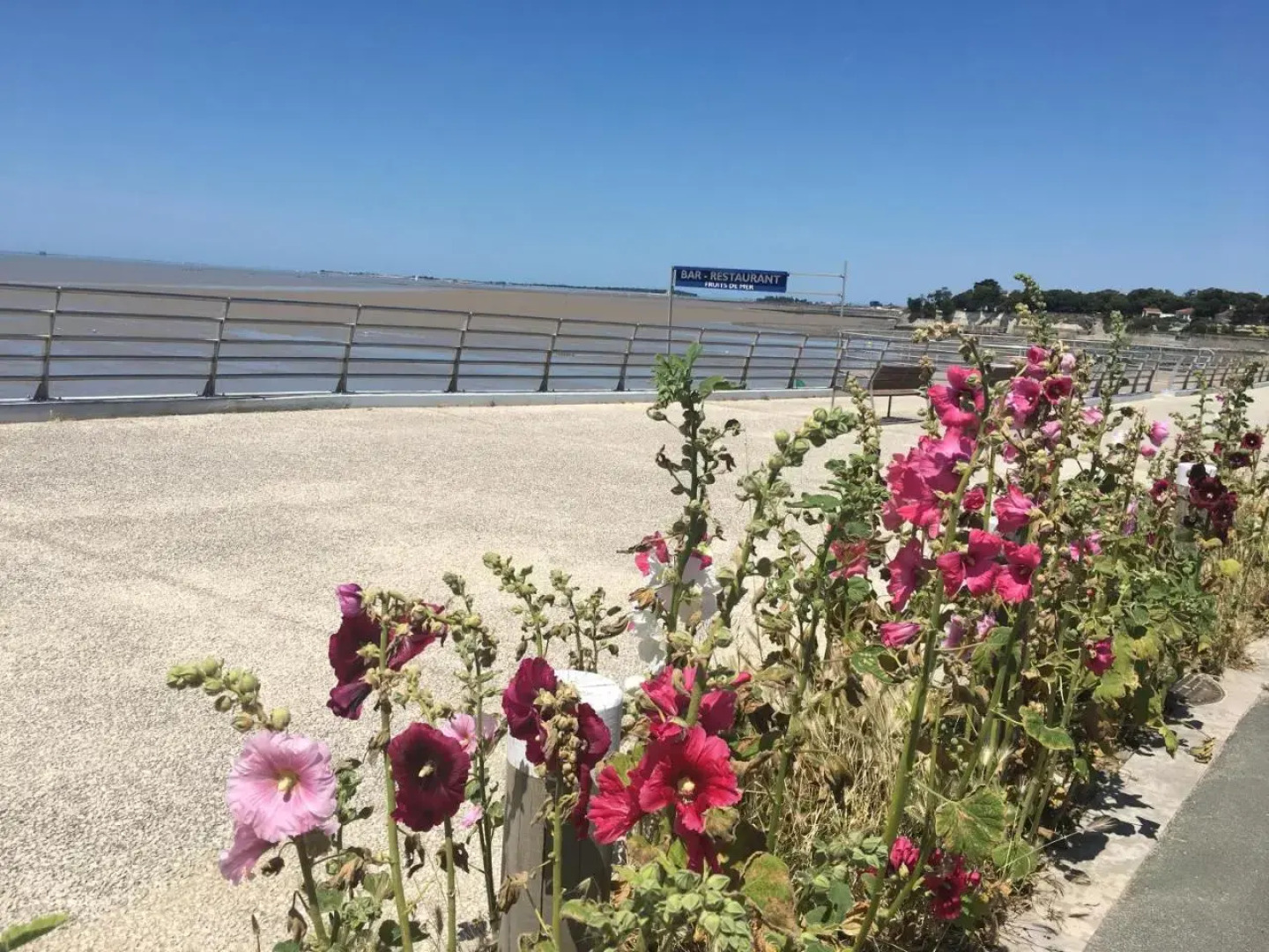 Petit nid à 50m de la plage au coeur de Fouras