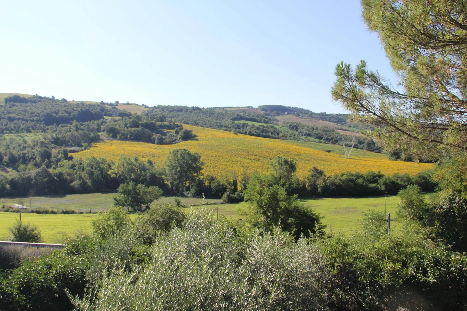 Molino dei Ciliegi