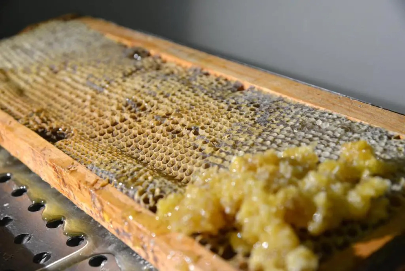 Rosslyn Central Park Hotel