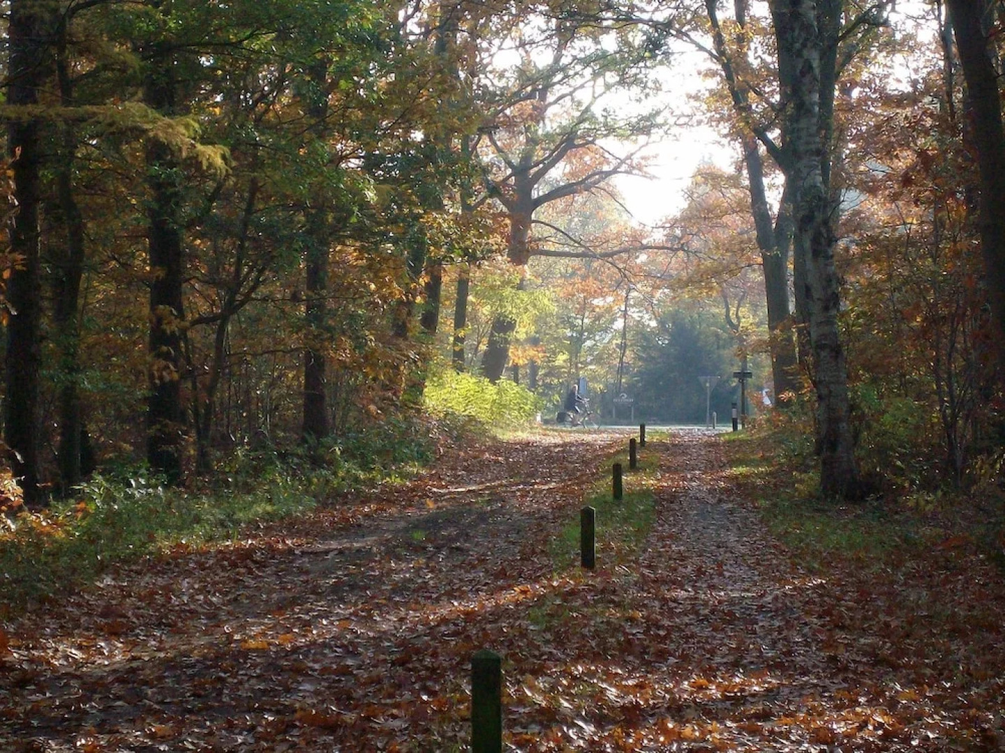 Semi-detached House With a Dishwasher, at 9 km van Slagharen