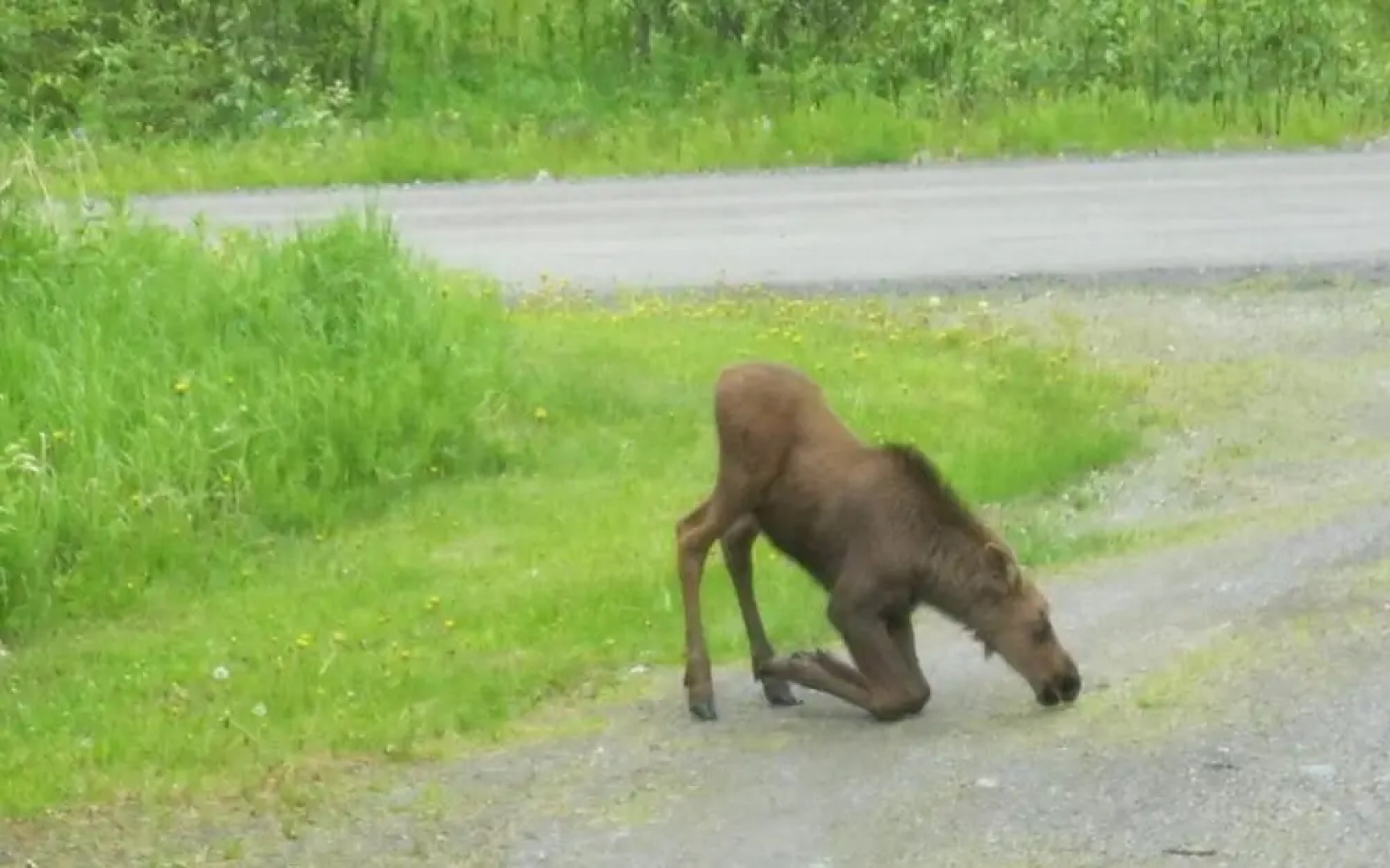 Whispering Winds Retreat B&B