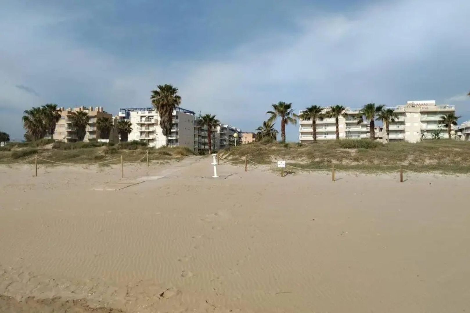 Romántico Daimús 2