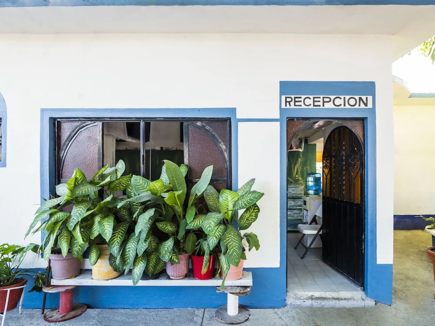 OYO Hotel San José Purua