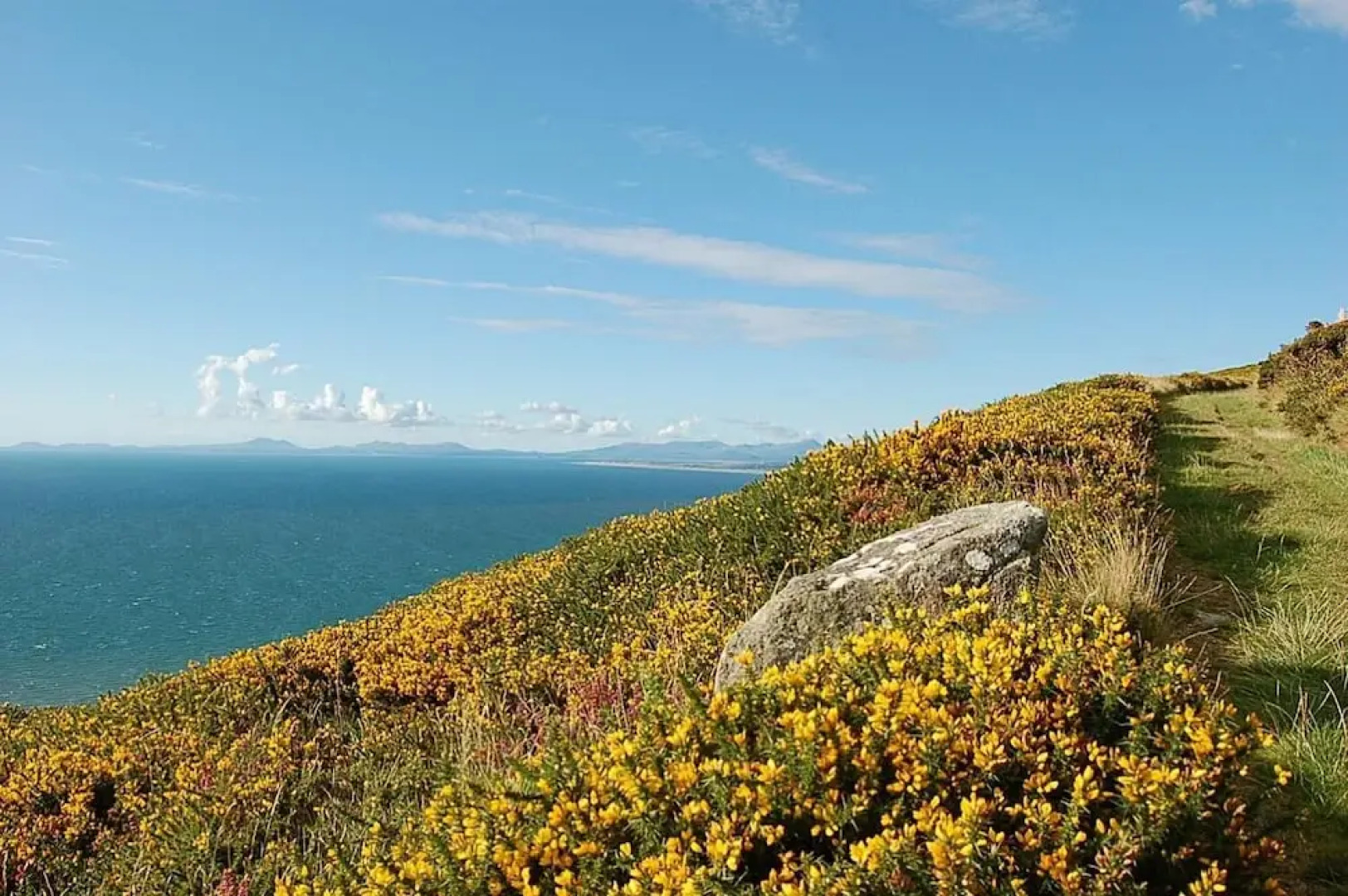 Salt Marsh Apartment