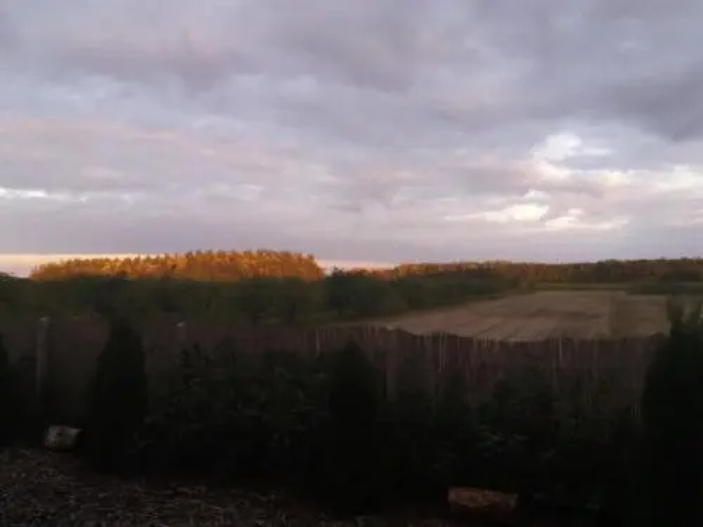 Alföldi Borok Háza