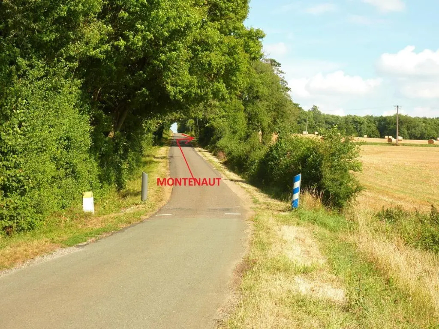 Montenaut (Adults Only)