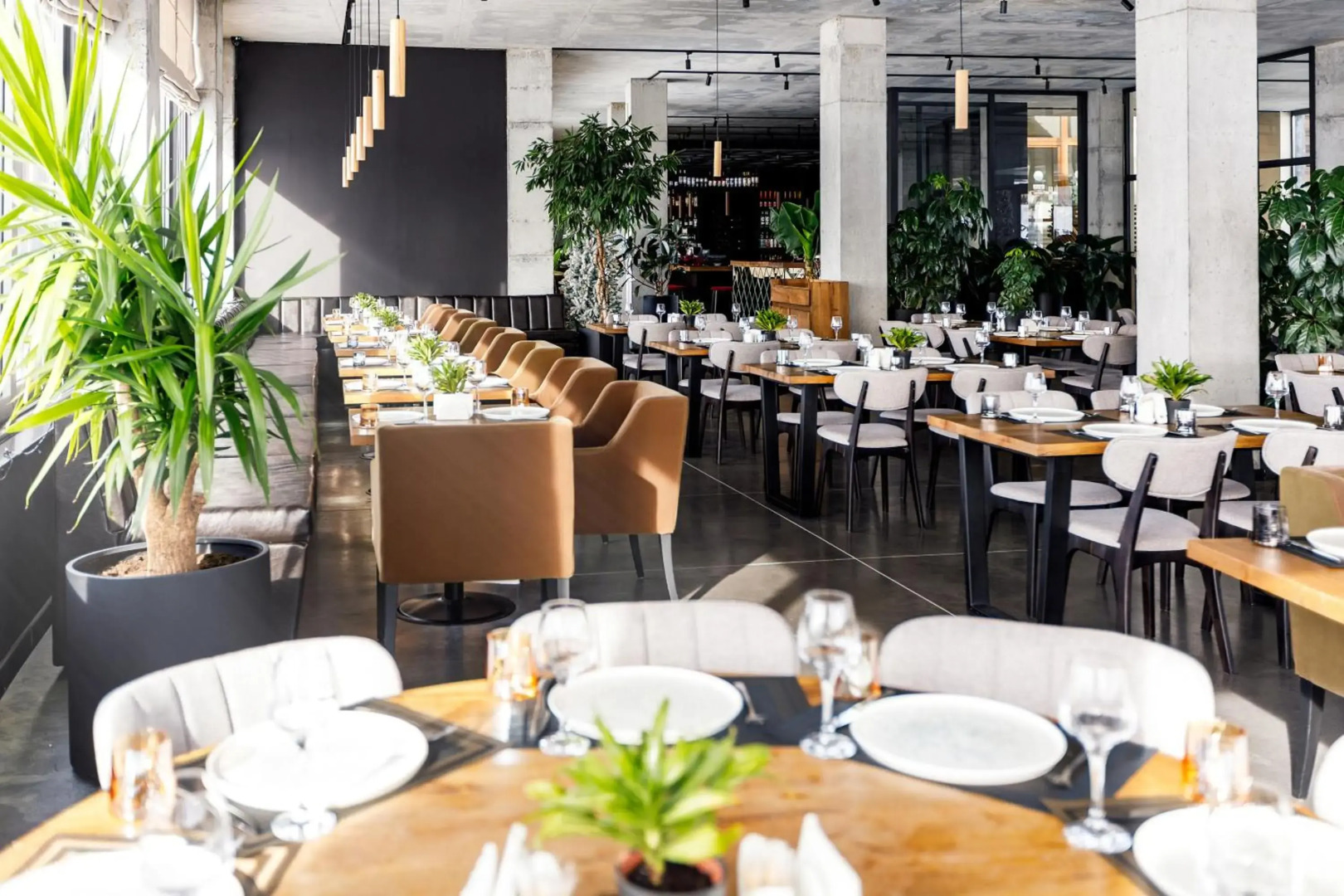 Отель Carpe Diem