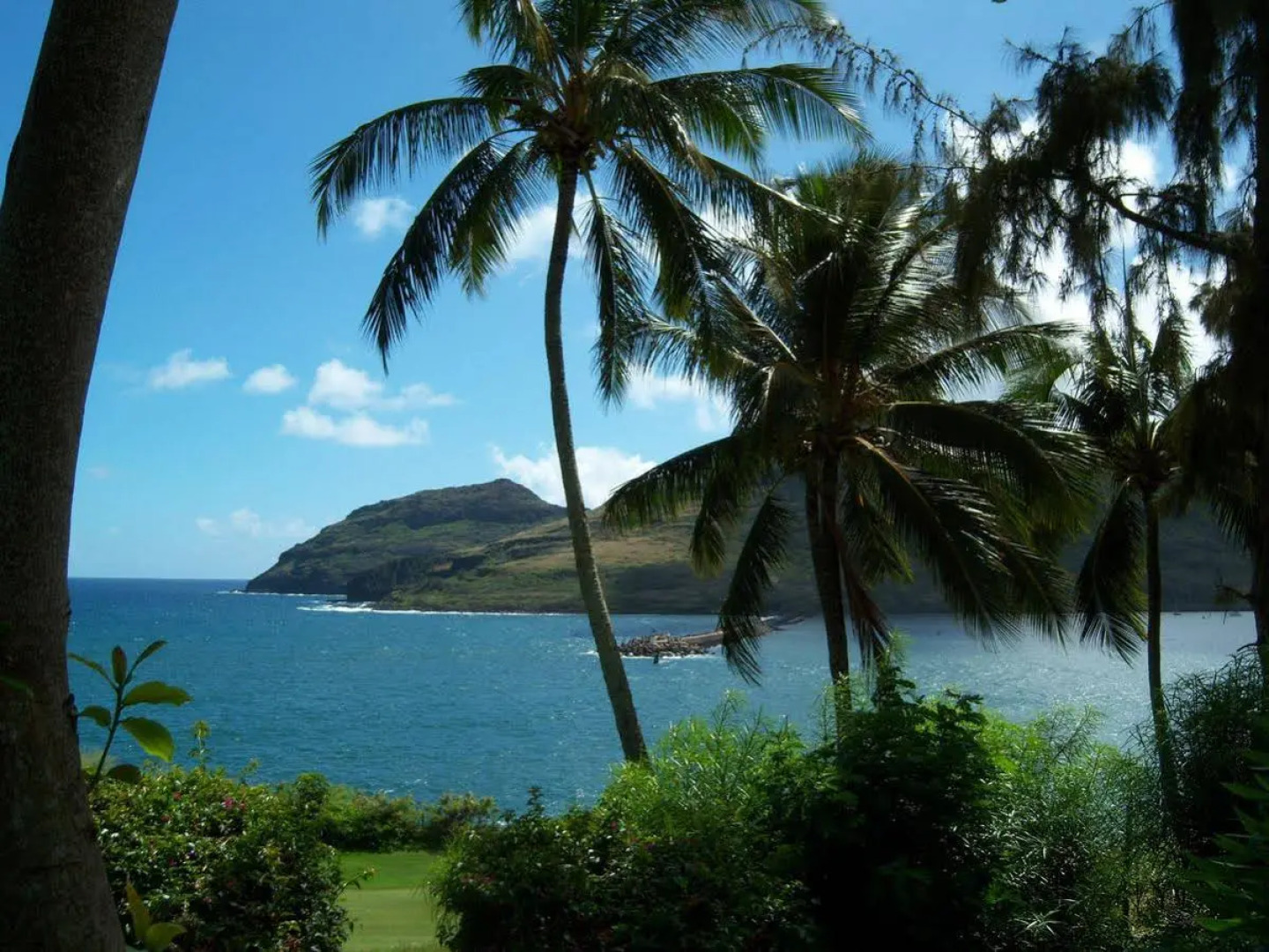 Plantation Hale Suites