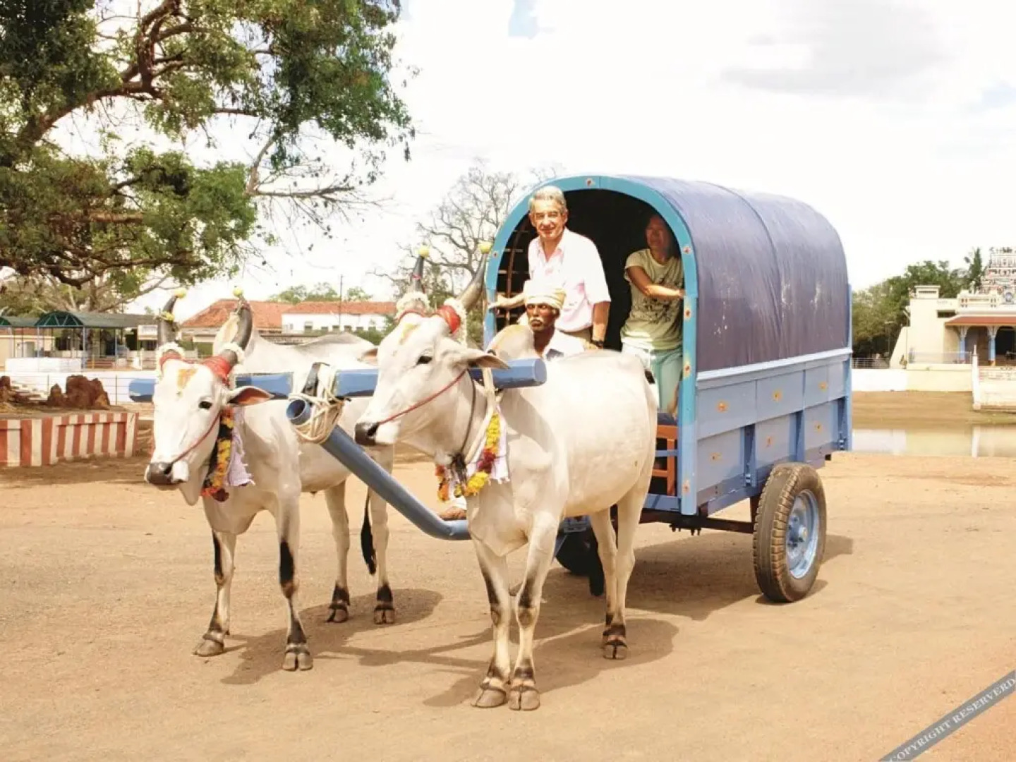 Chettinadu Mansion - An Authentic Heritage Palace