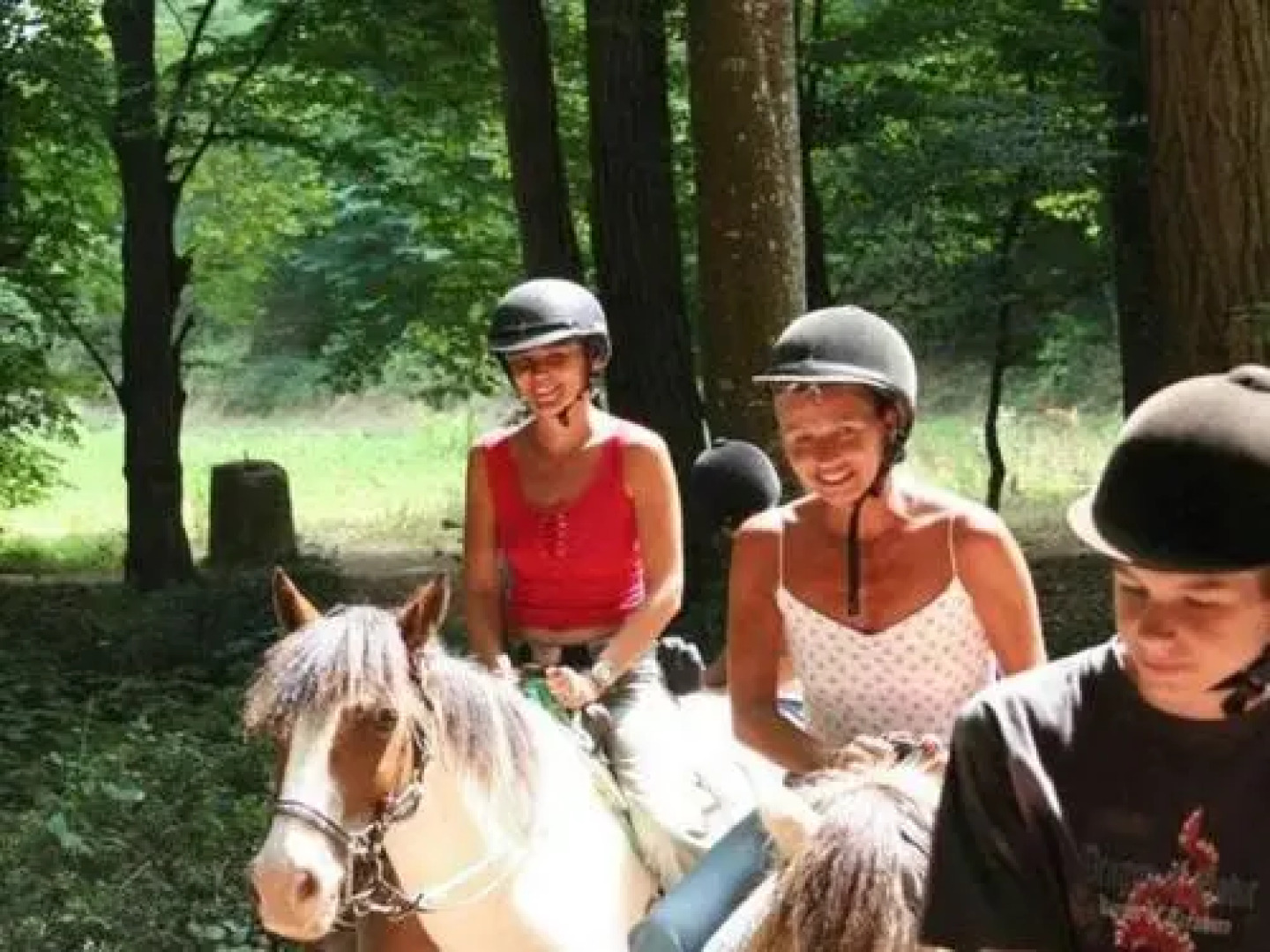 Domaine De Gavaudun - Maisonnette Du Lot