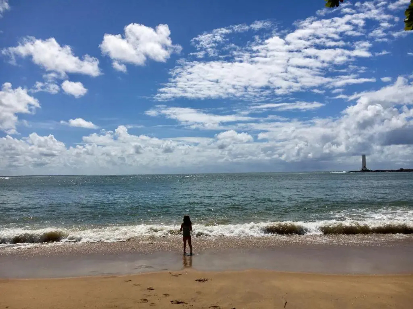 Concha Tropical Flat