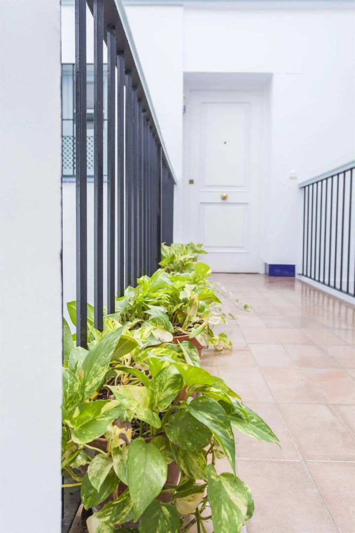 Apartamentos Suites Santa Cruz