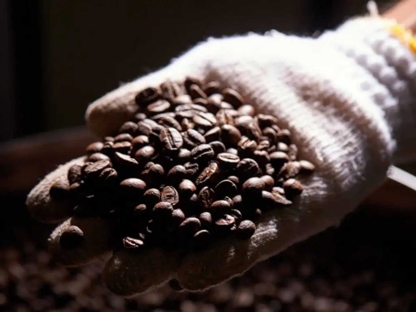 Matayoshi Coffee Farm