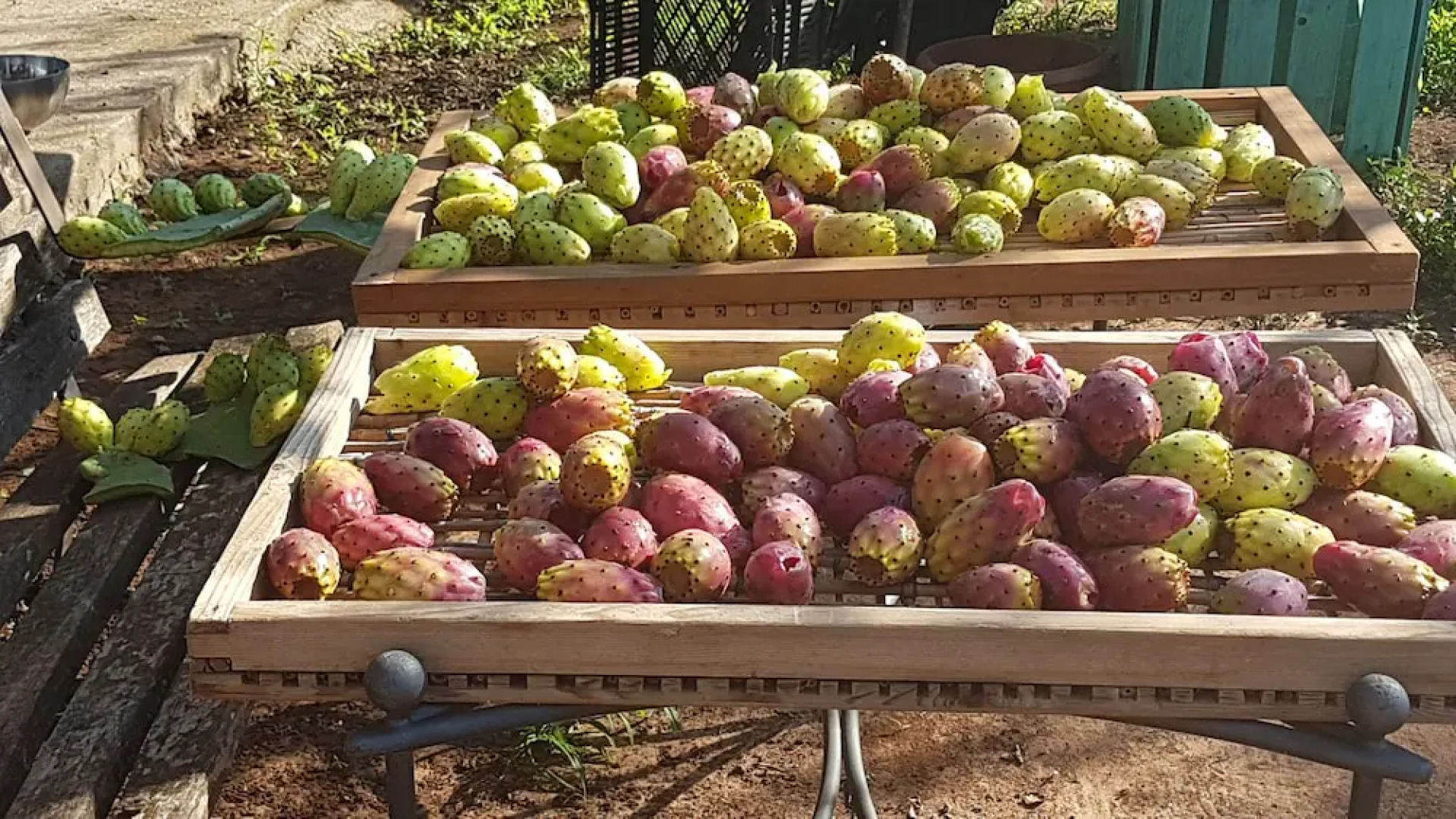 Le Radici Casa Vacanze