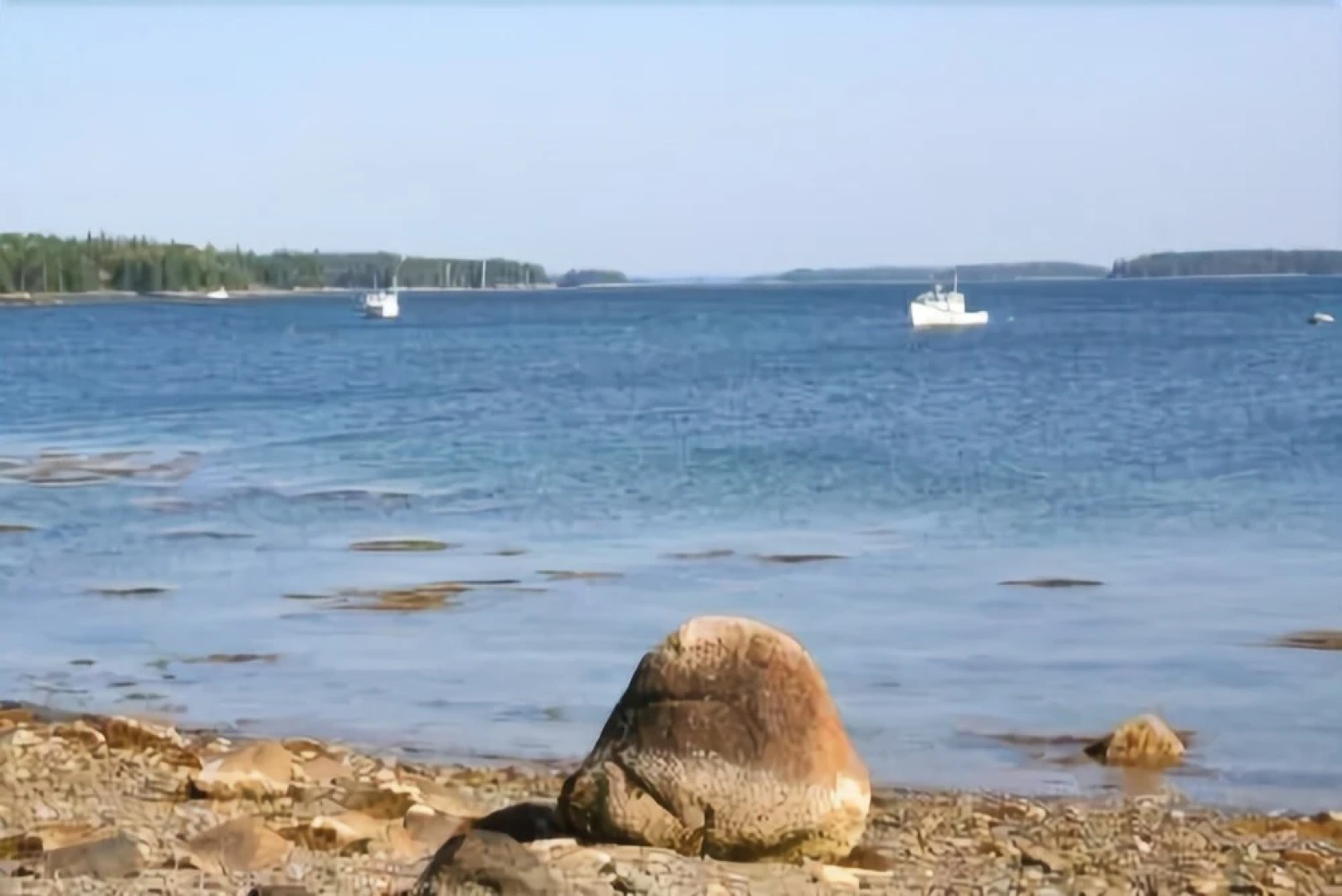 Field Stone Bluff (First Floor Only) - One Bedroom Apartment