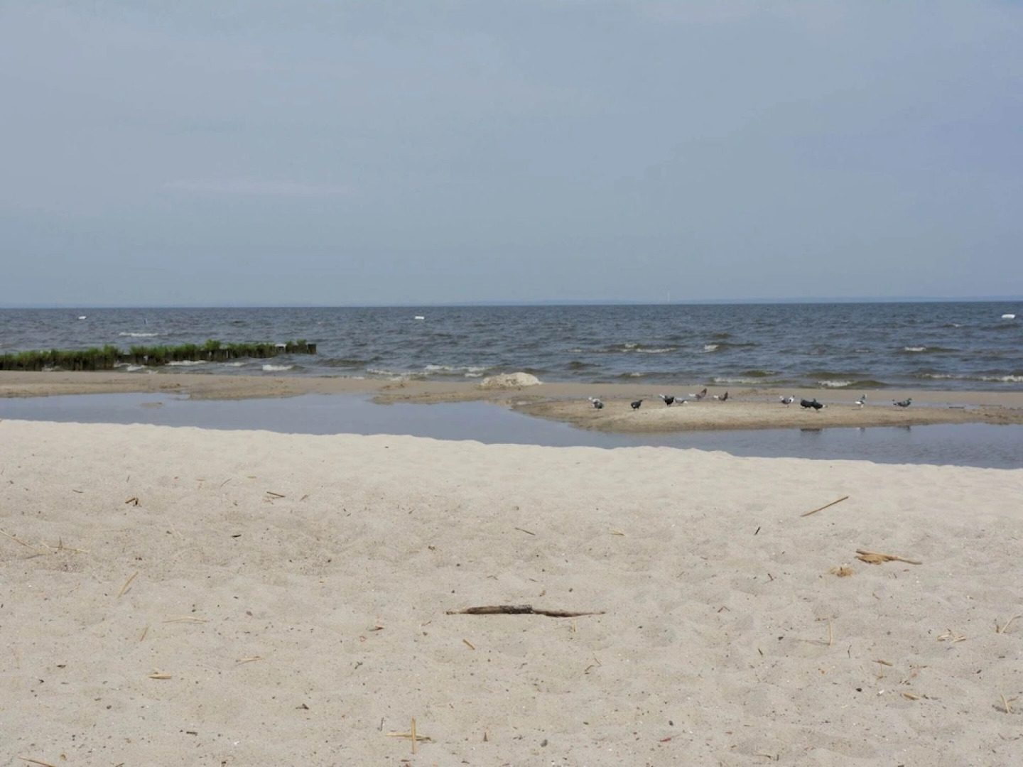 Sleep Under a Thatched Roof - Apartment in Ahlbeck near Haff