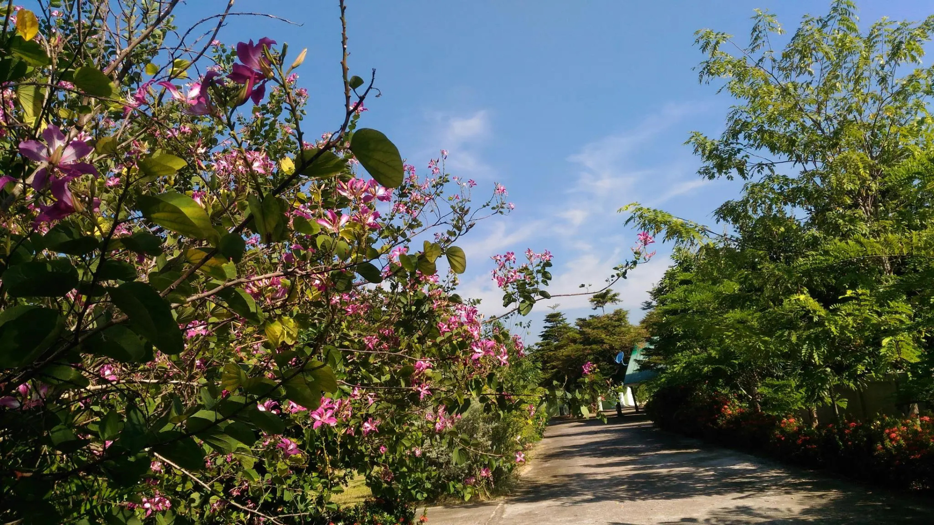 Chuanchom Resort Phuwiang