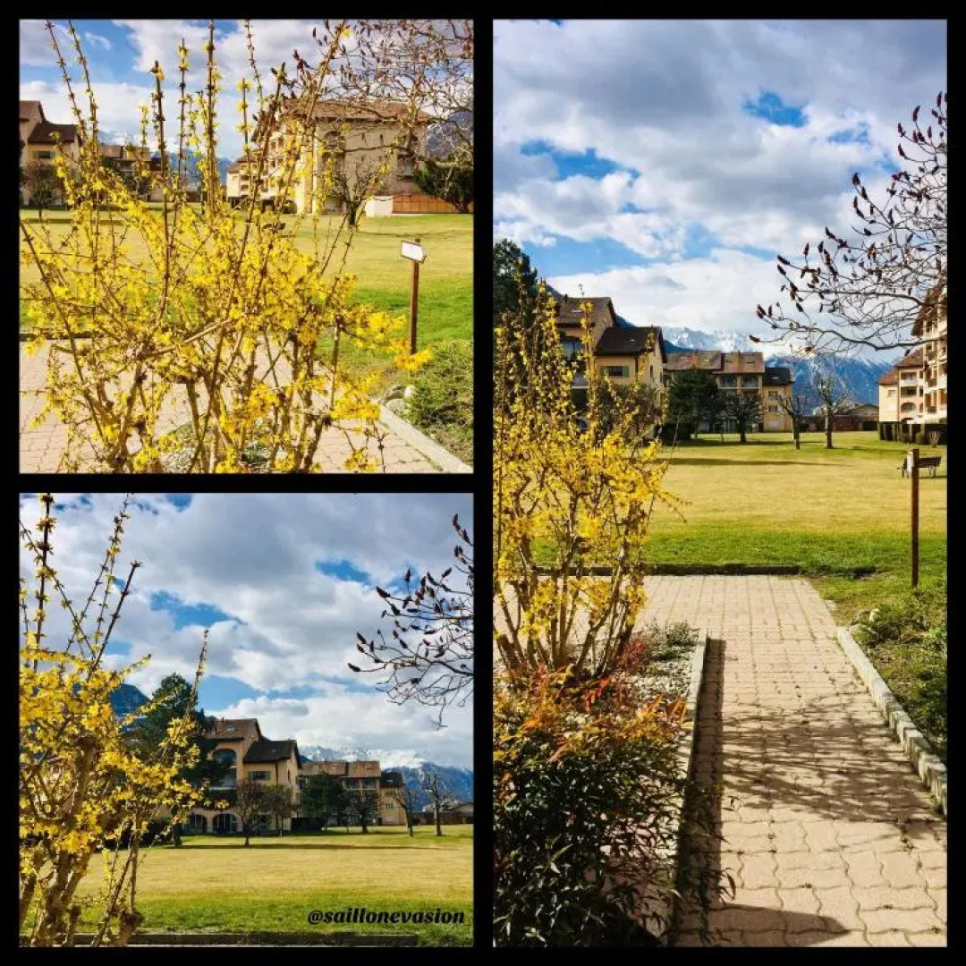 Saillon Evasion Sarl